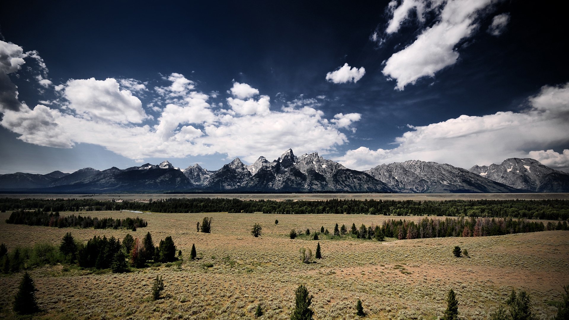 nature grass mountain green