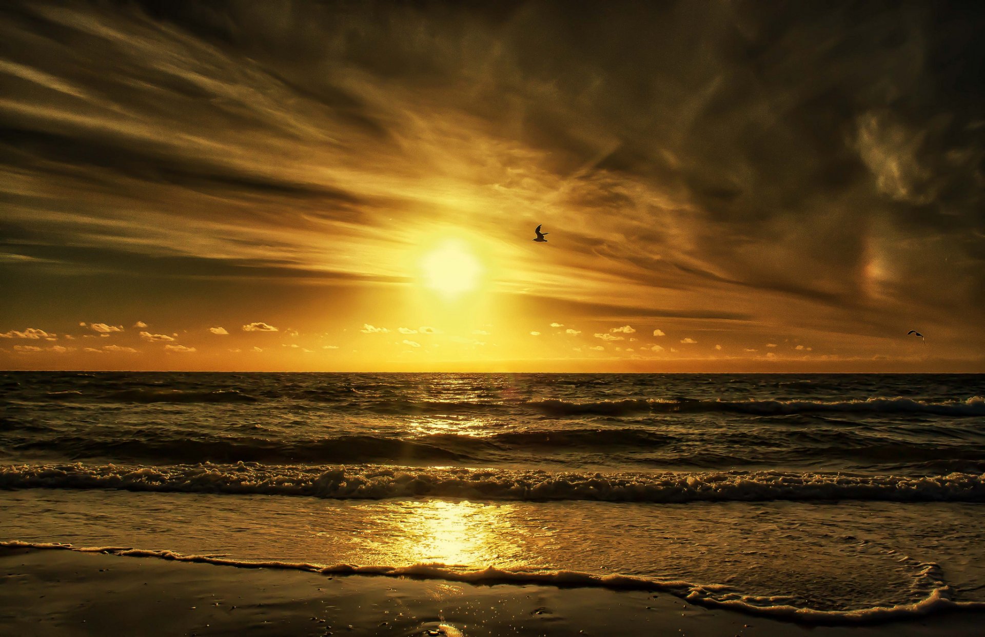 ciel nuages coucher de soleil soleil mer oiseau