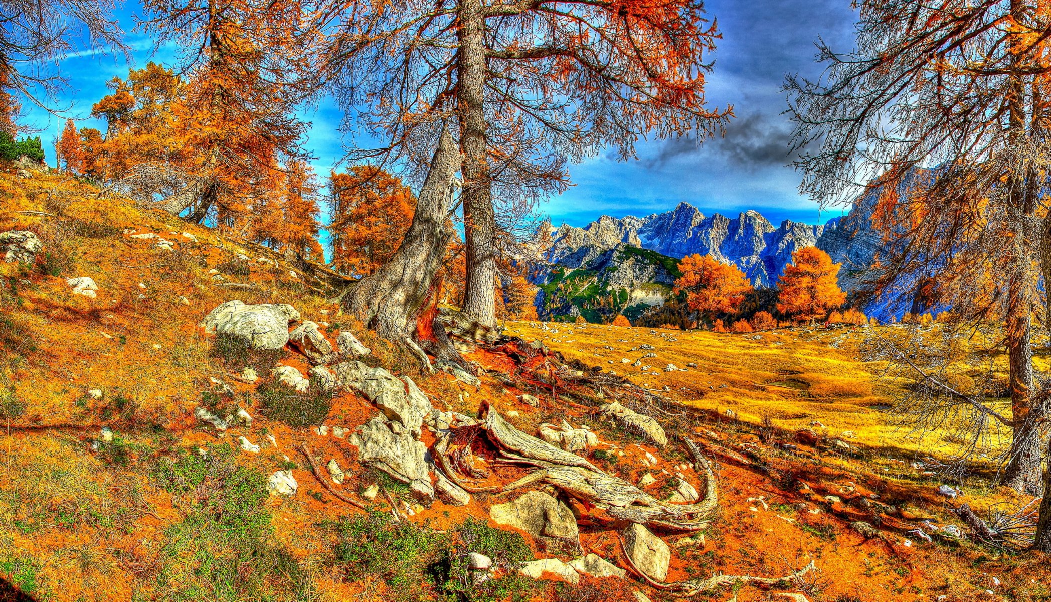 slowenien herbst kranjska bäume himmel berge bäume wurzeln hdr