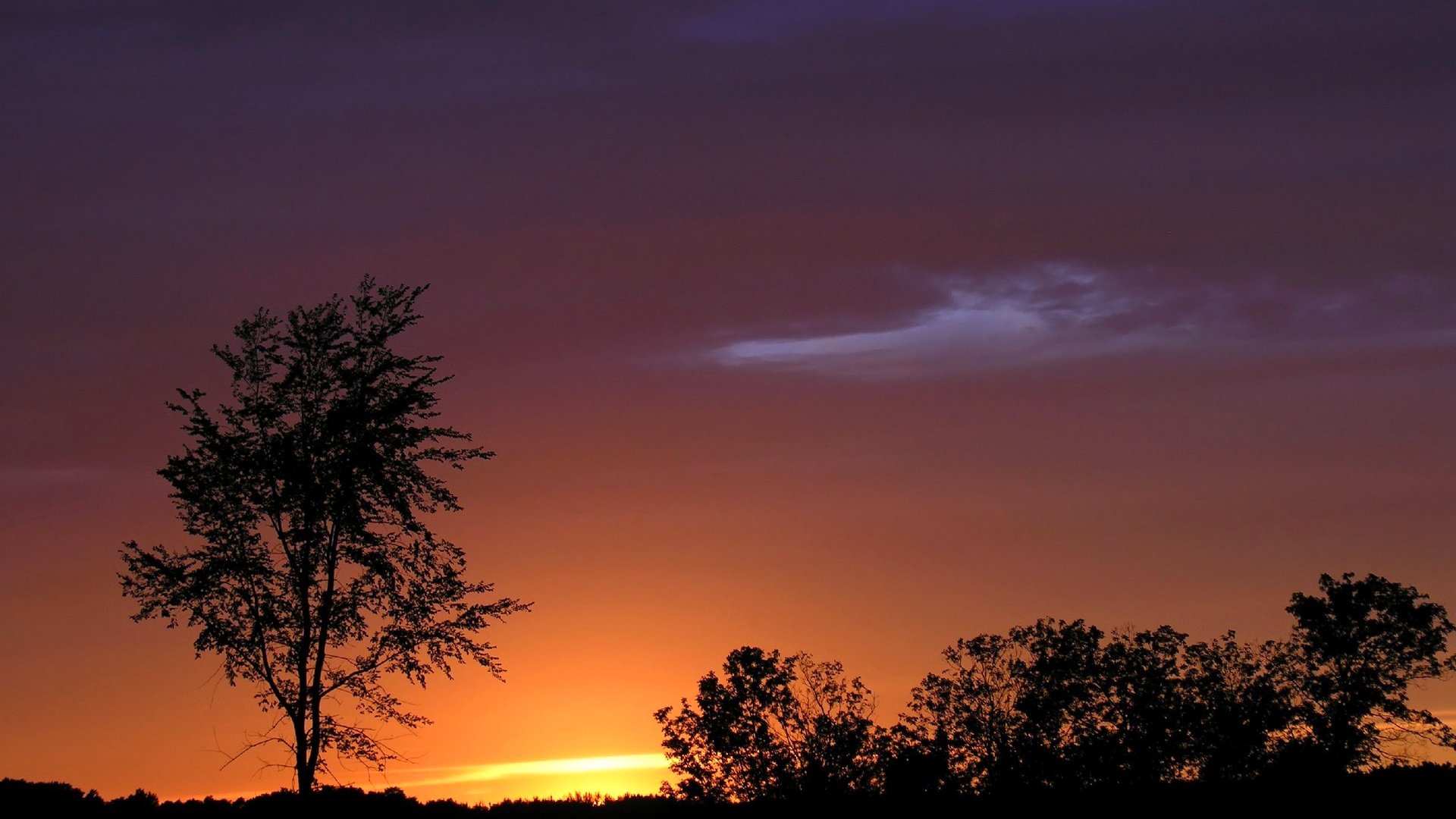 ky clouds sunset horizon tree silhouette