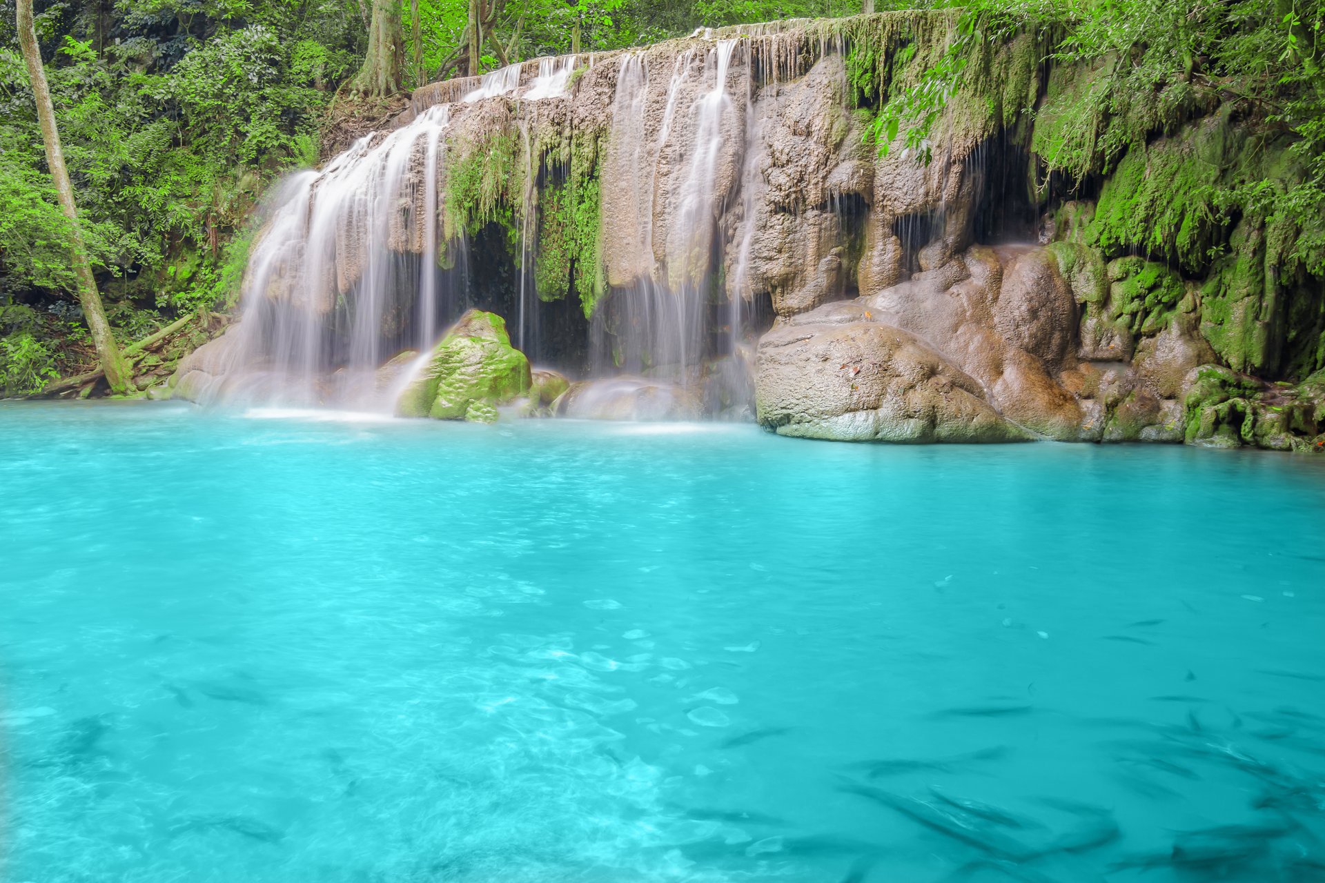 nature forest tree river waterfall blue water