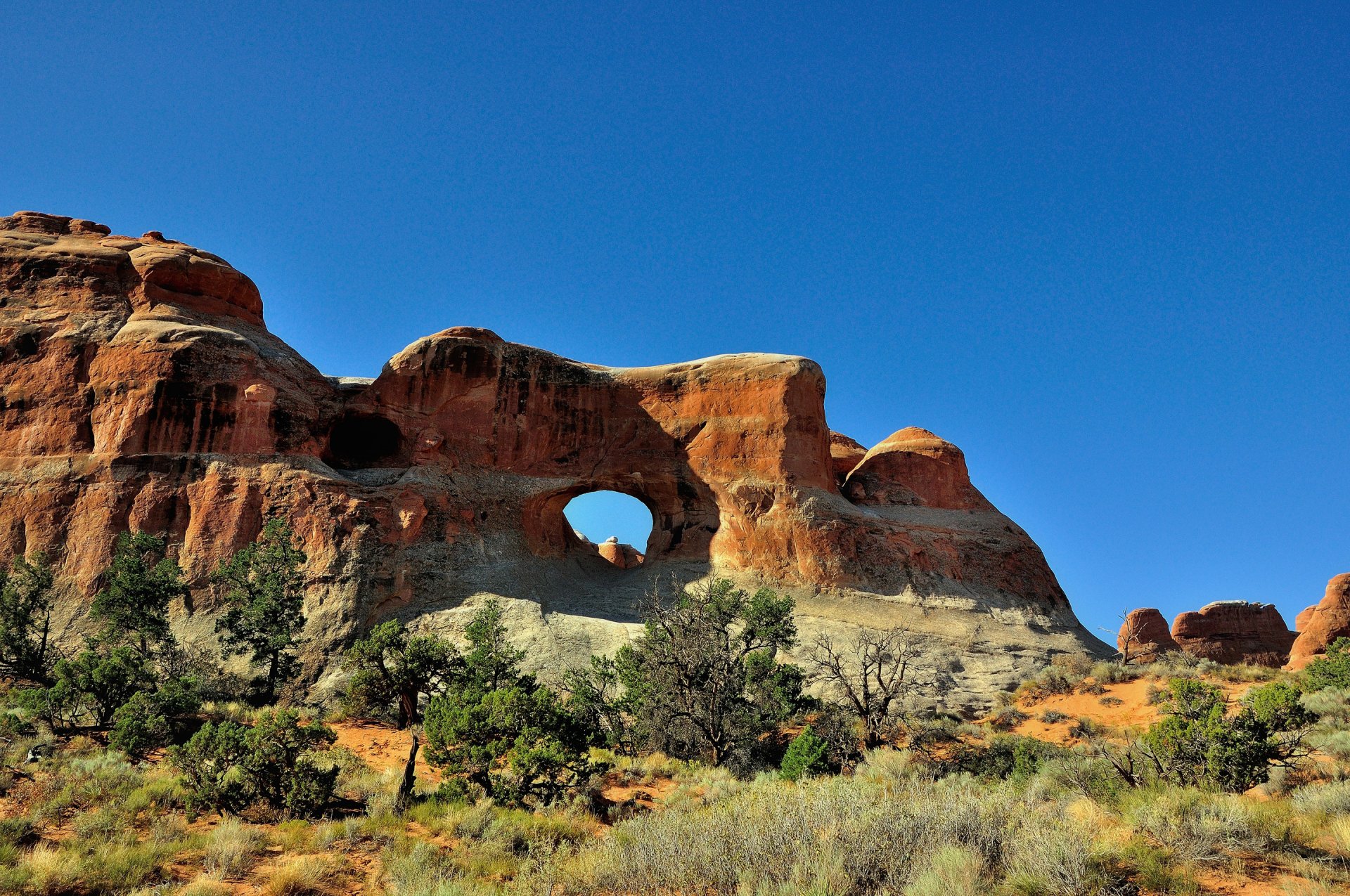 arco parco nazionale usa rocce arco cielo alberi cespugli