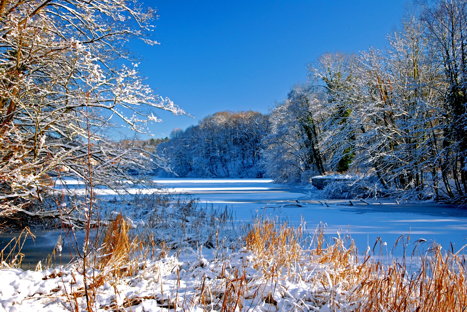 cielo invierno río árboles nieve cauce