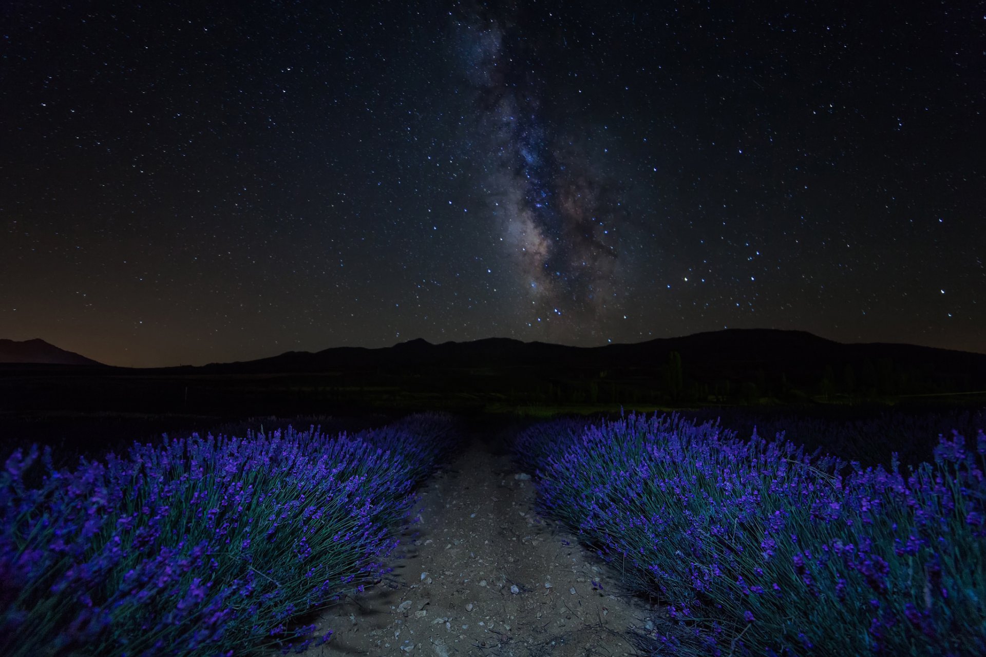 notte cielo stelle montagne piantagione fiori lavanda