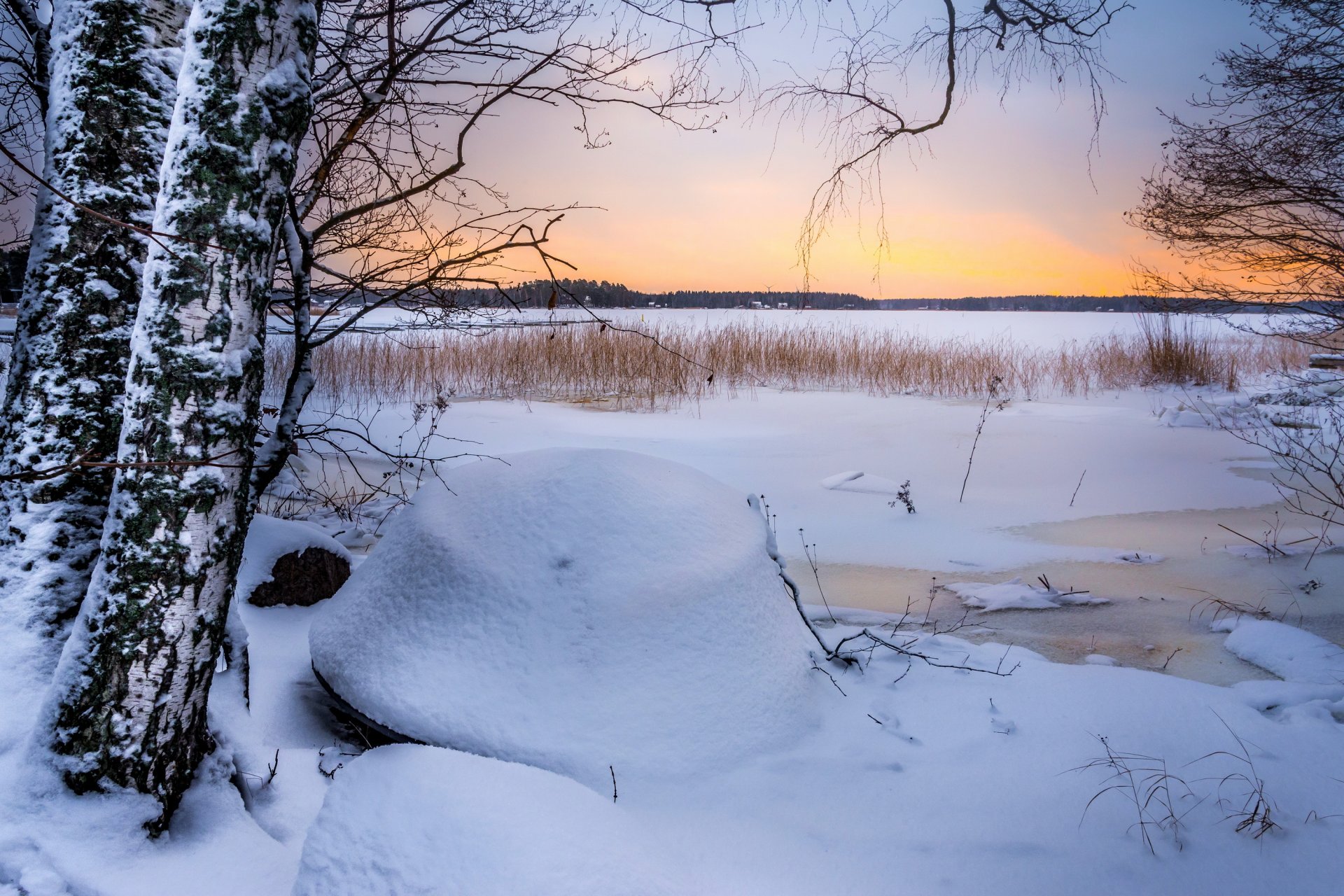 arbres champ hiver neige glace coucher de soleil