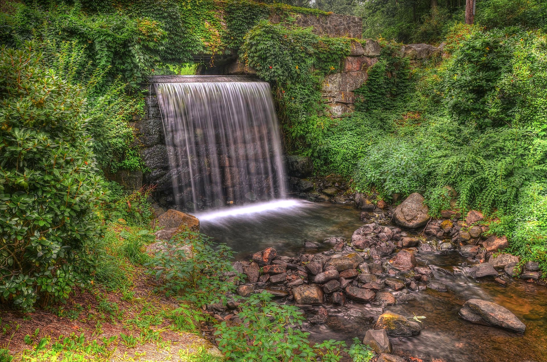 park wald bäume fluss wasserfall steine hdr