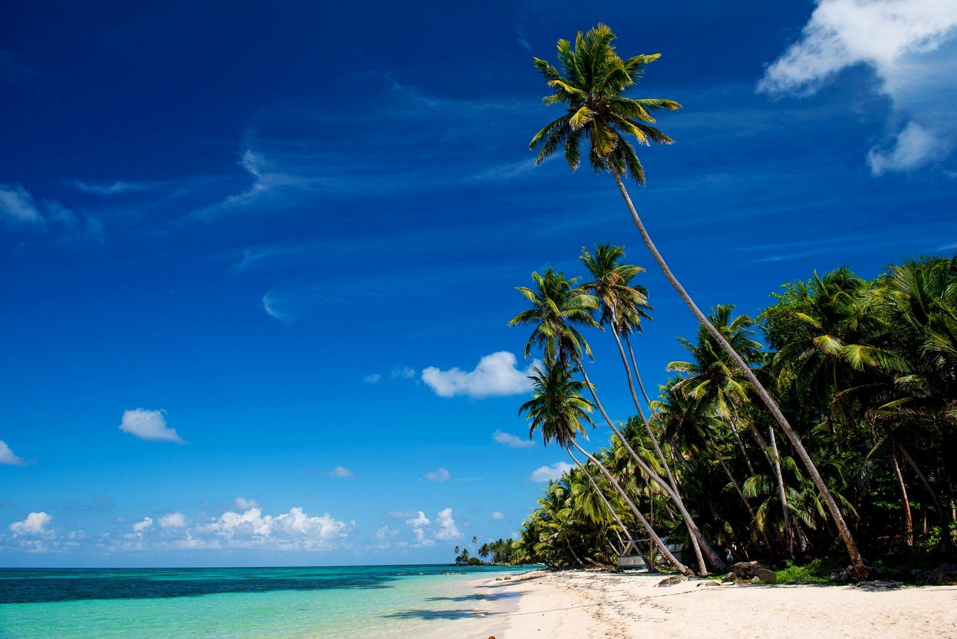 little corn island mare tropici spiaggia sabbia palme