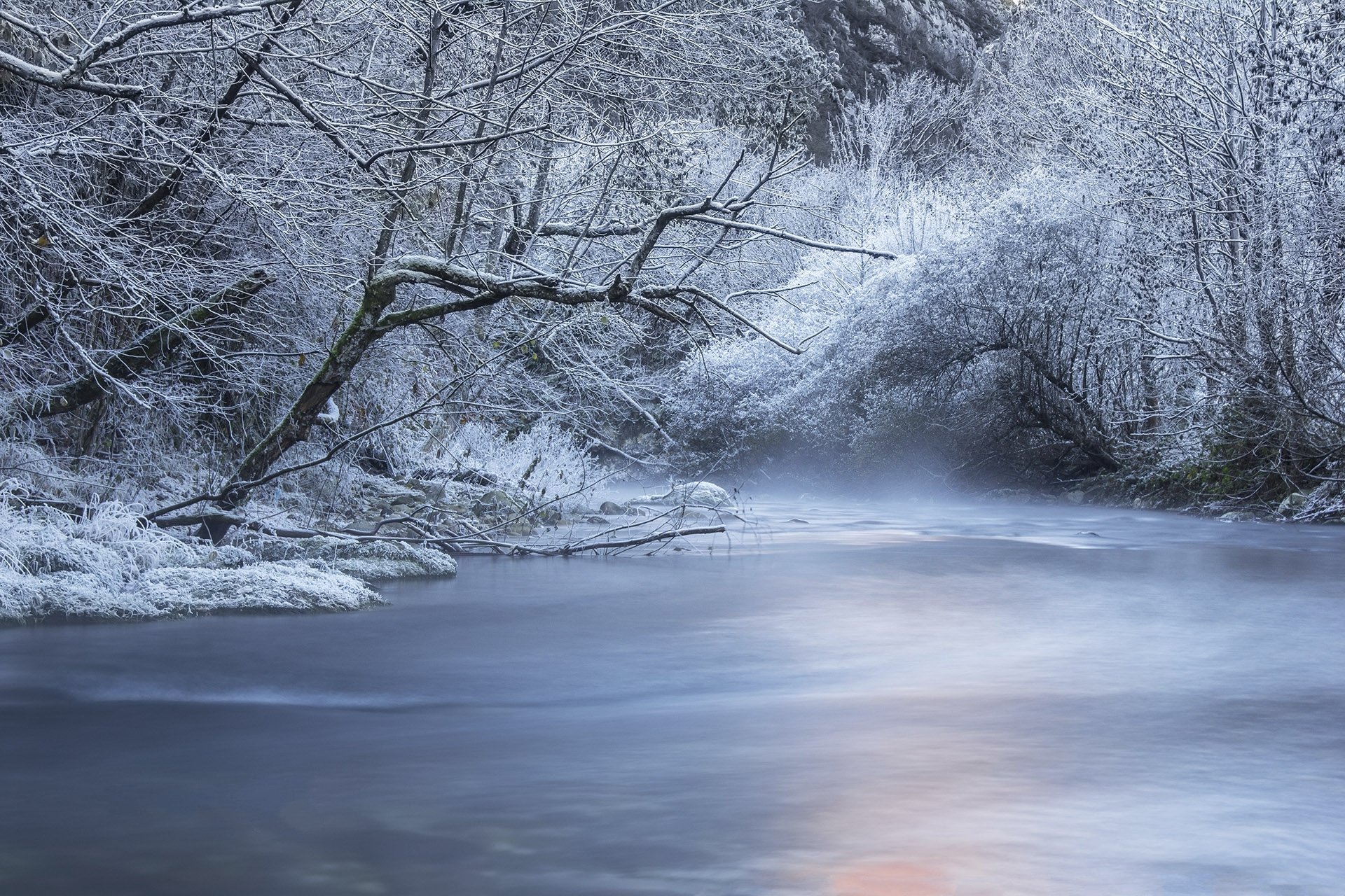 winter fluss bäume wald schnee