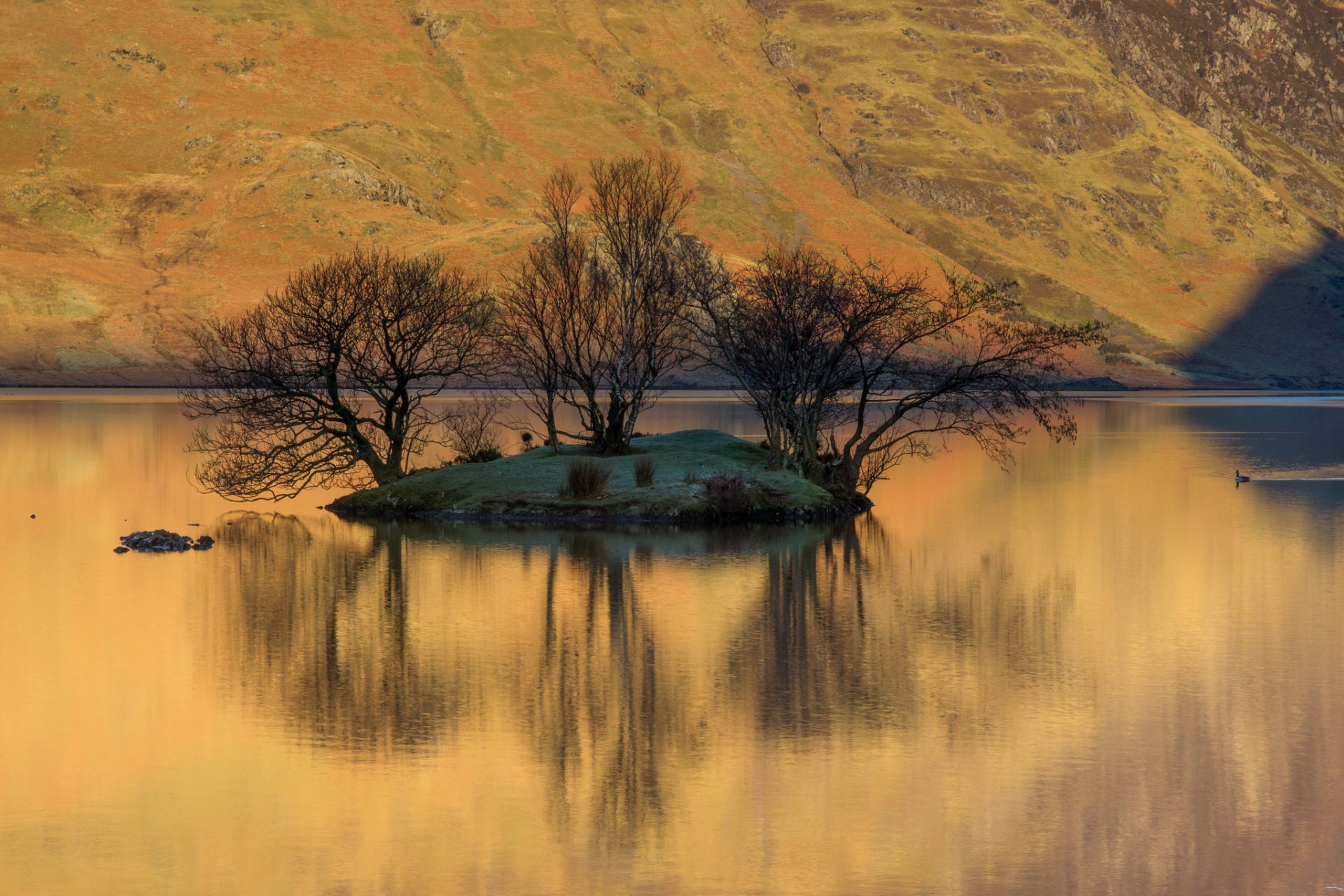 montaña pendiente lago islote árboles reflexión