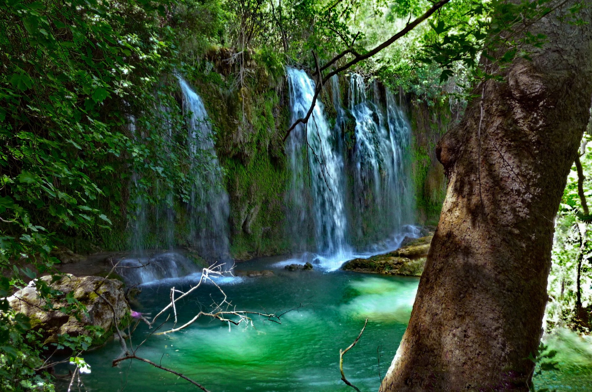 turquía antalya cascada kursunlu parque natural de la cascada de kursunlu árbol ramas hojas vegetación piedras musgo agua