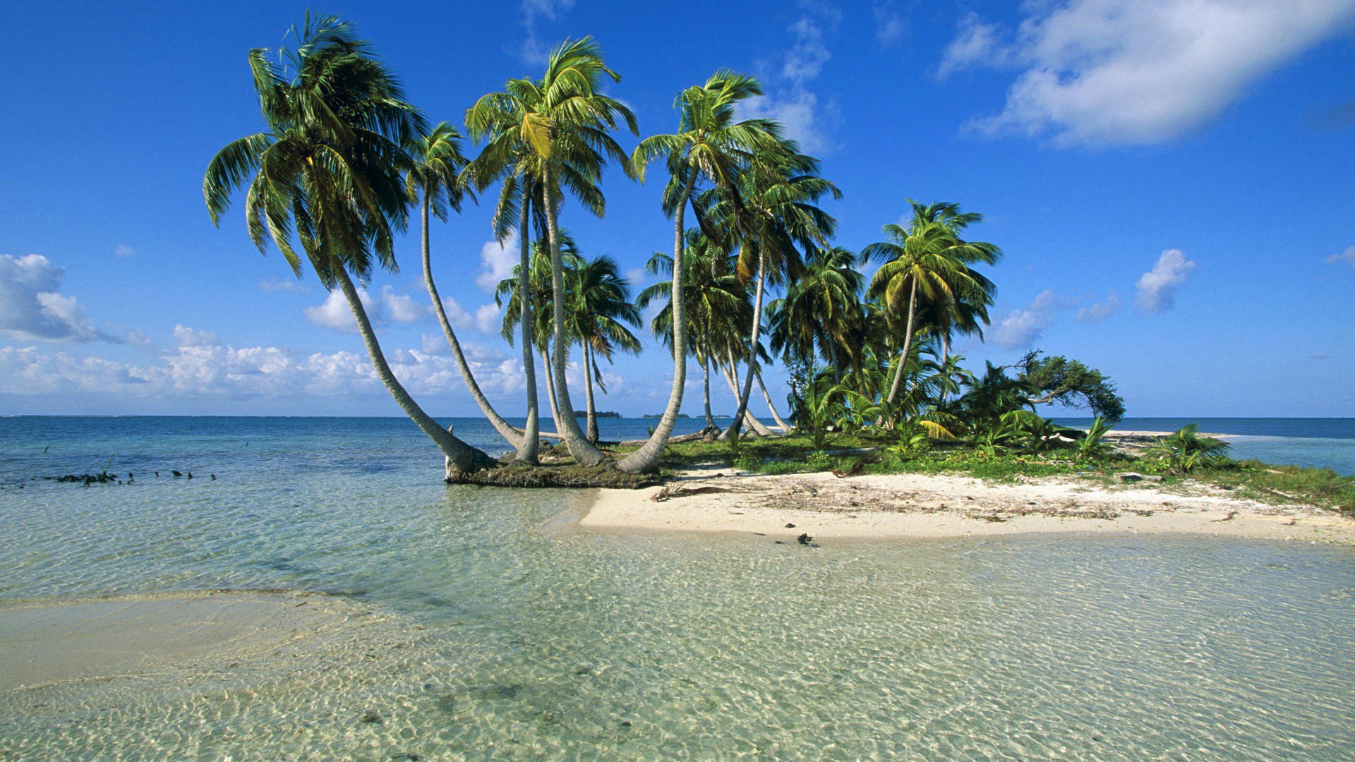 ciel mer île palmiers