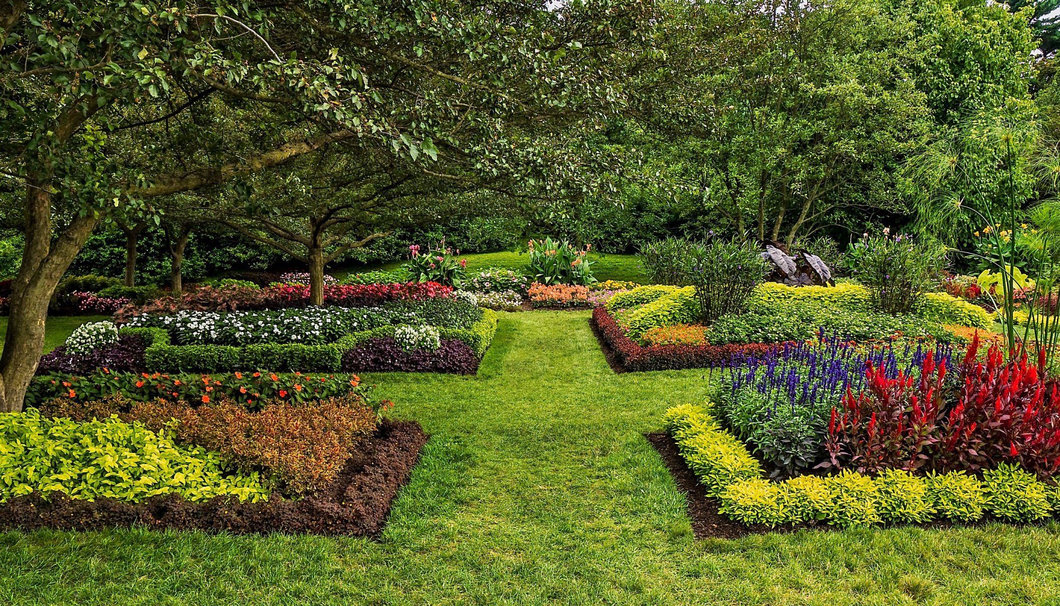 usa garten kenneth square rasen sträucher gras natur foto