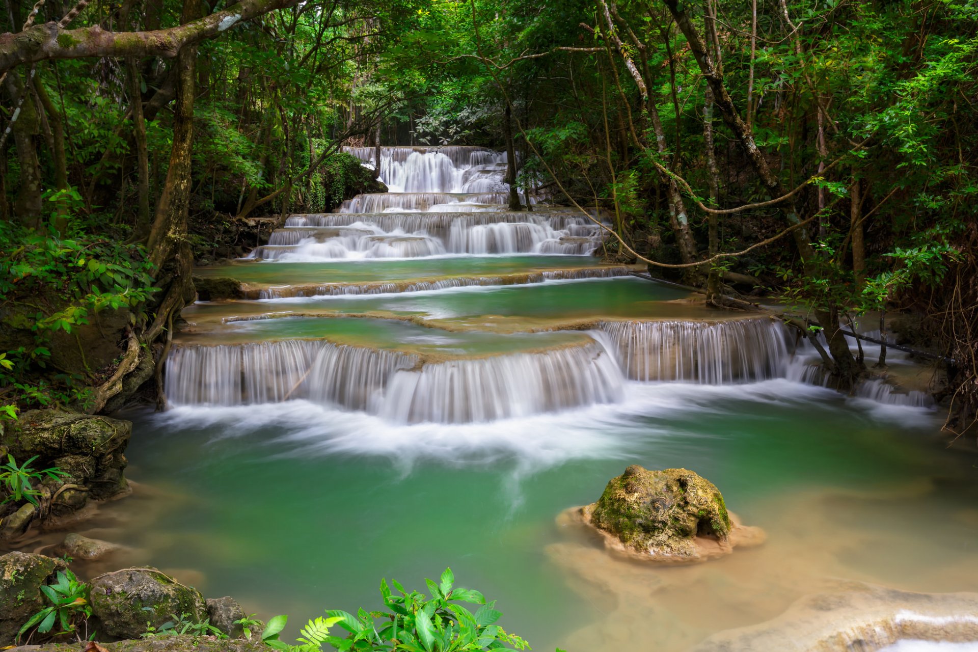 forest tree waterfall stage river feed stone thicket