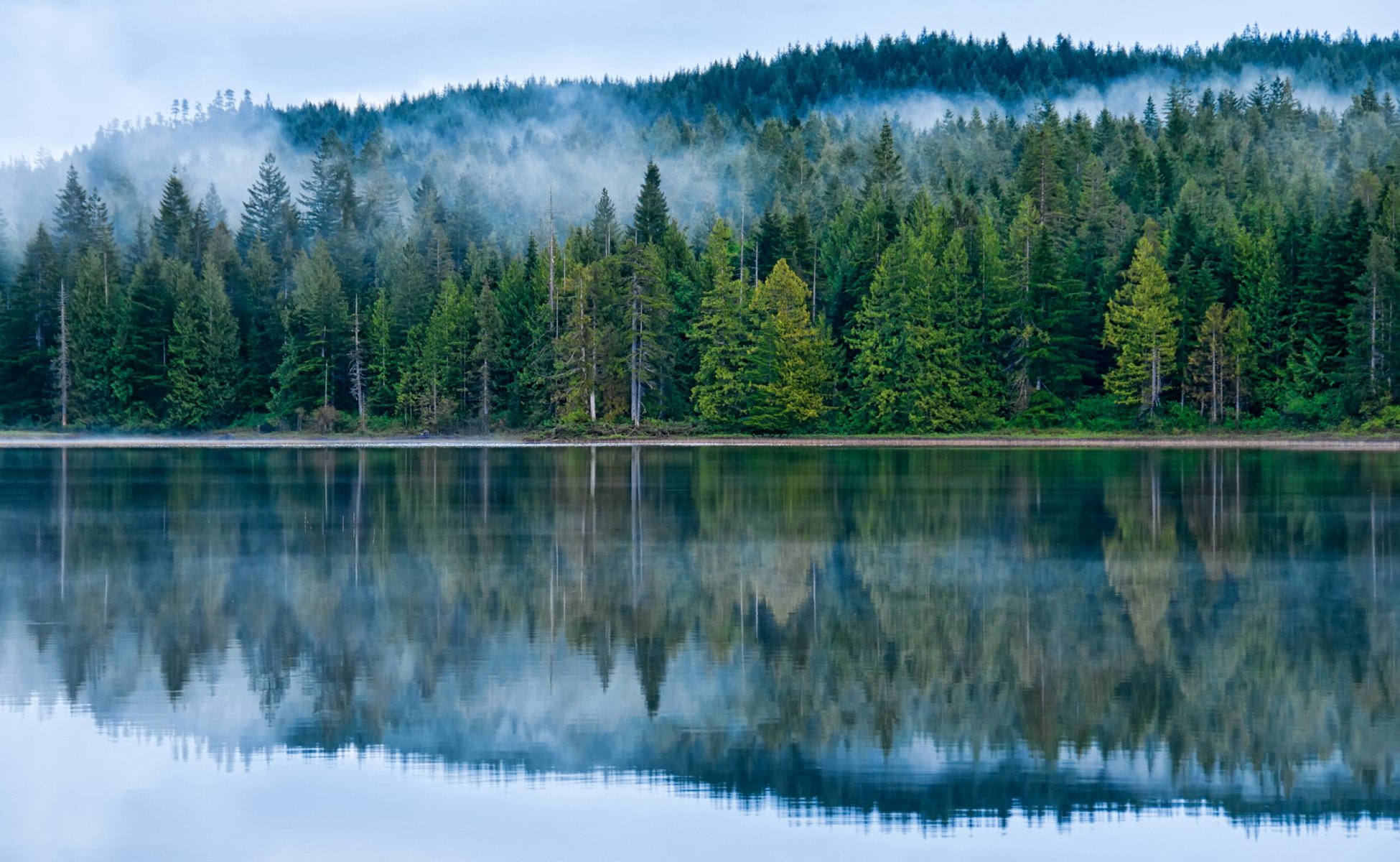 canadá bosque lago morton columbia británica árboles niebla