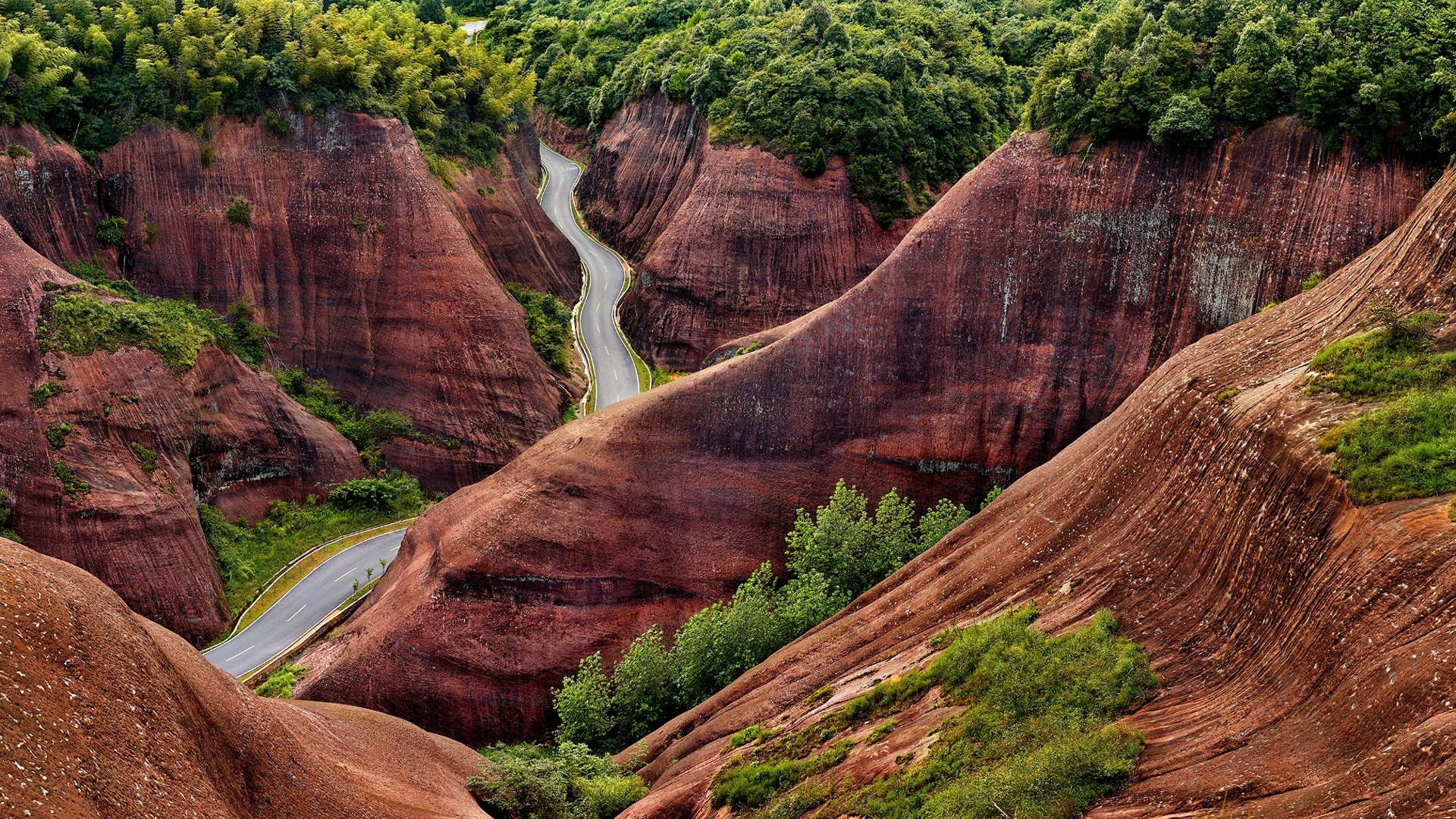 cina colline alberi strada