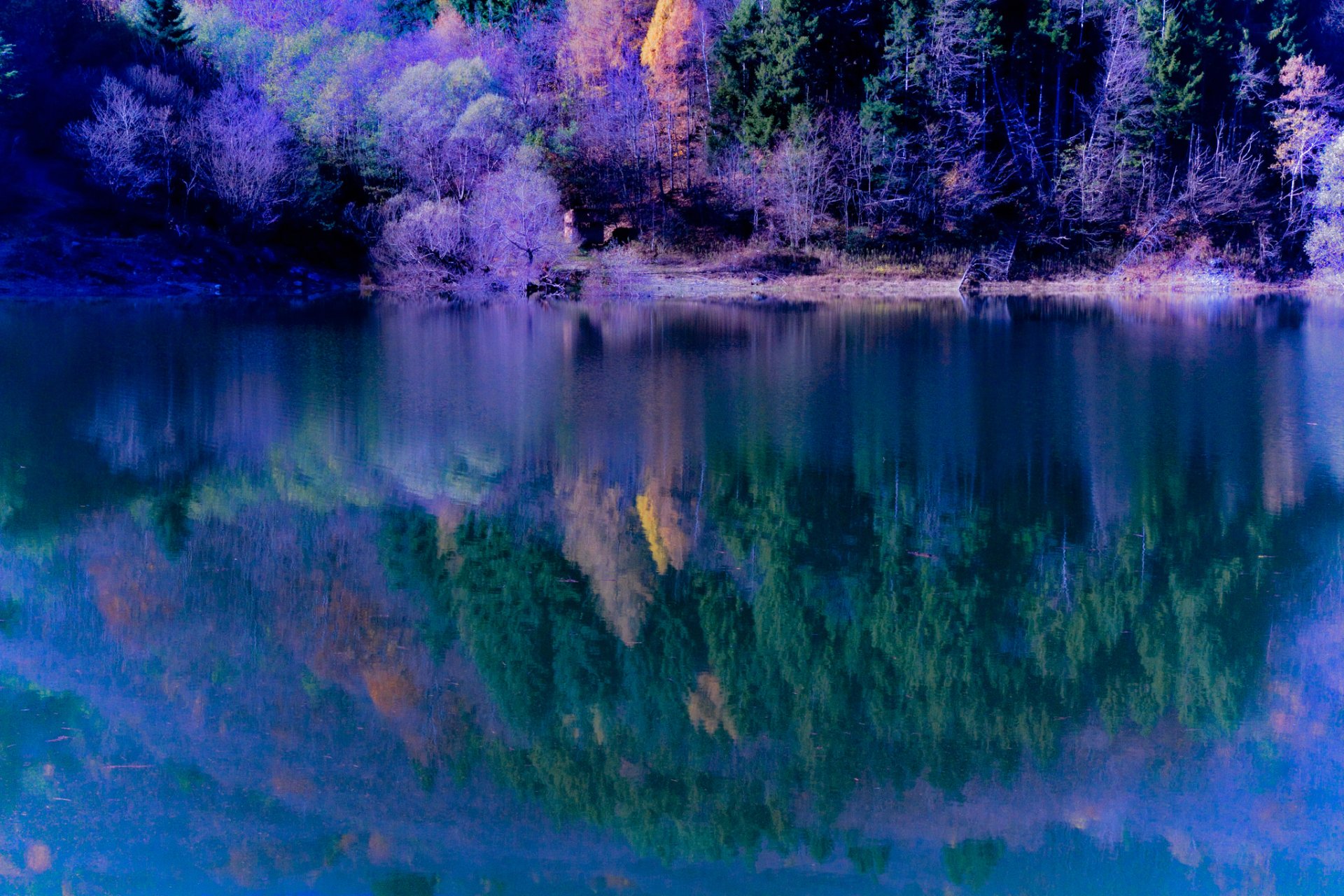 pente forêt lac automne réflexion arbres