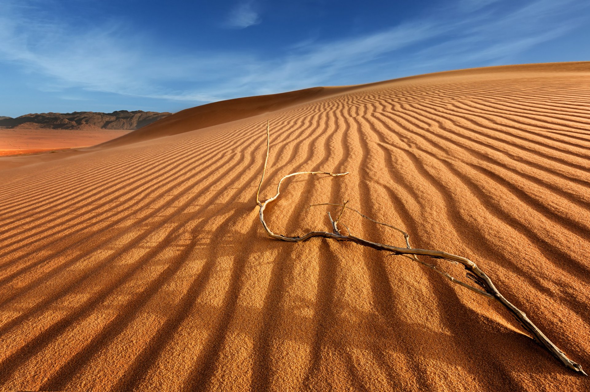 desert dunes dune sand branch sky cloud