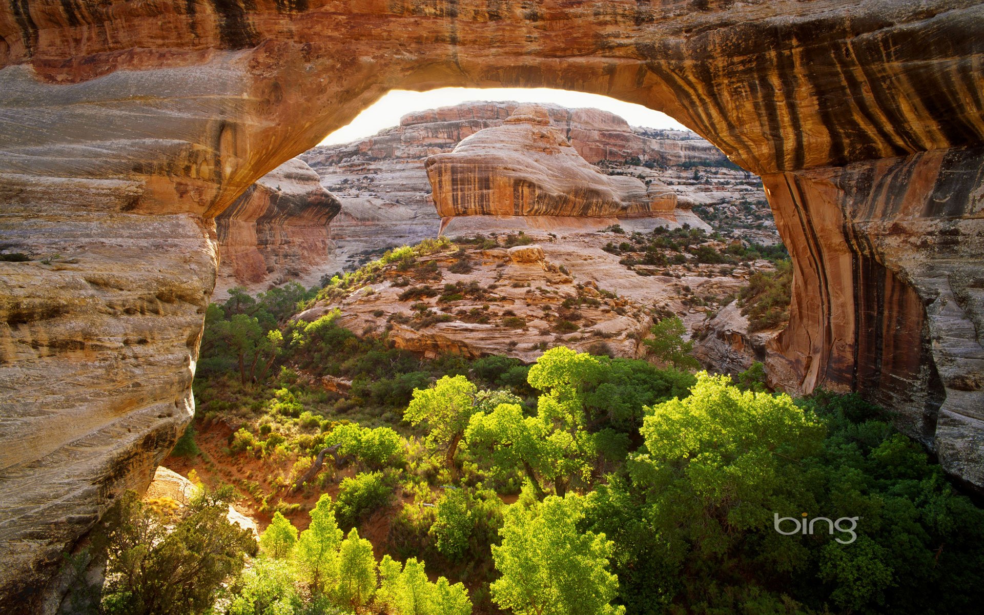 ponts naturels monument national utah usa montagnes rochers pont arche arbres