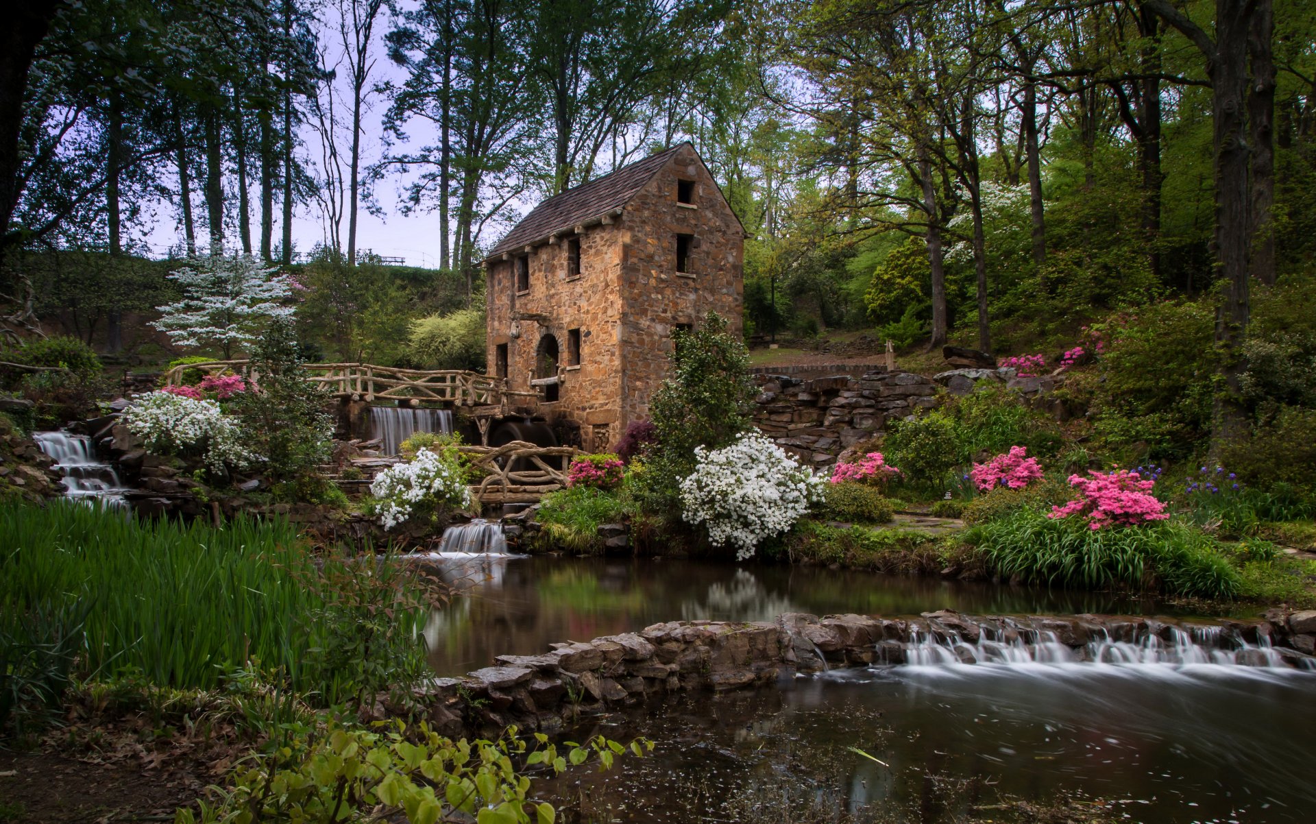 wald büsche bäume bach steine wasserfall wassermühle