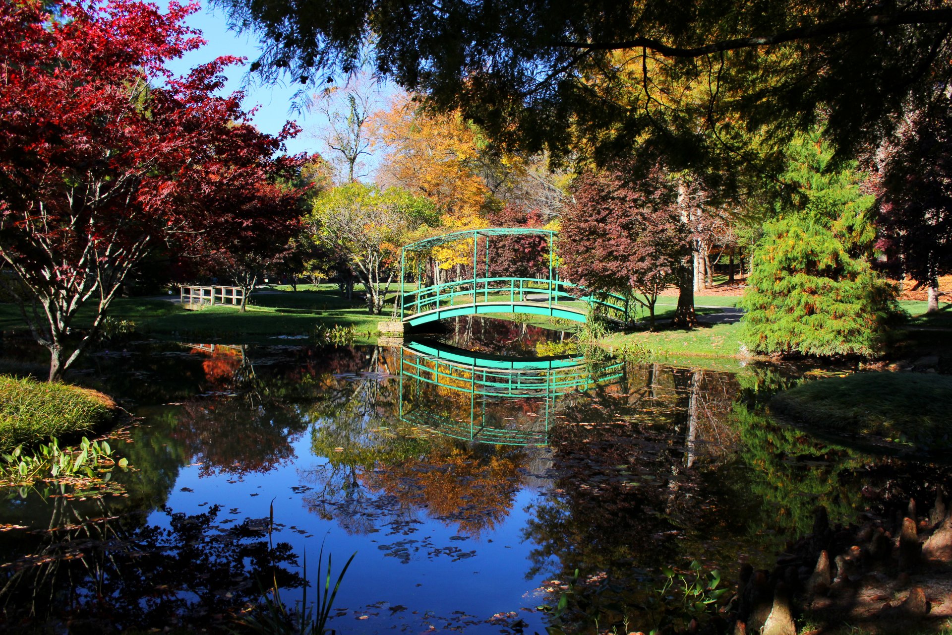 usa park fluss teich brücken tragendes land gibbs gärten bäume natur foto