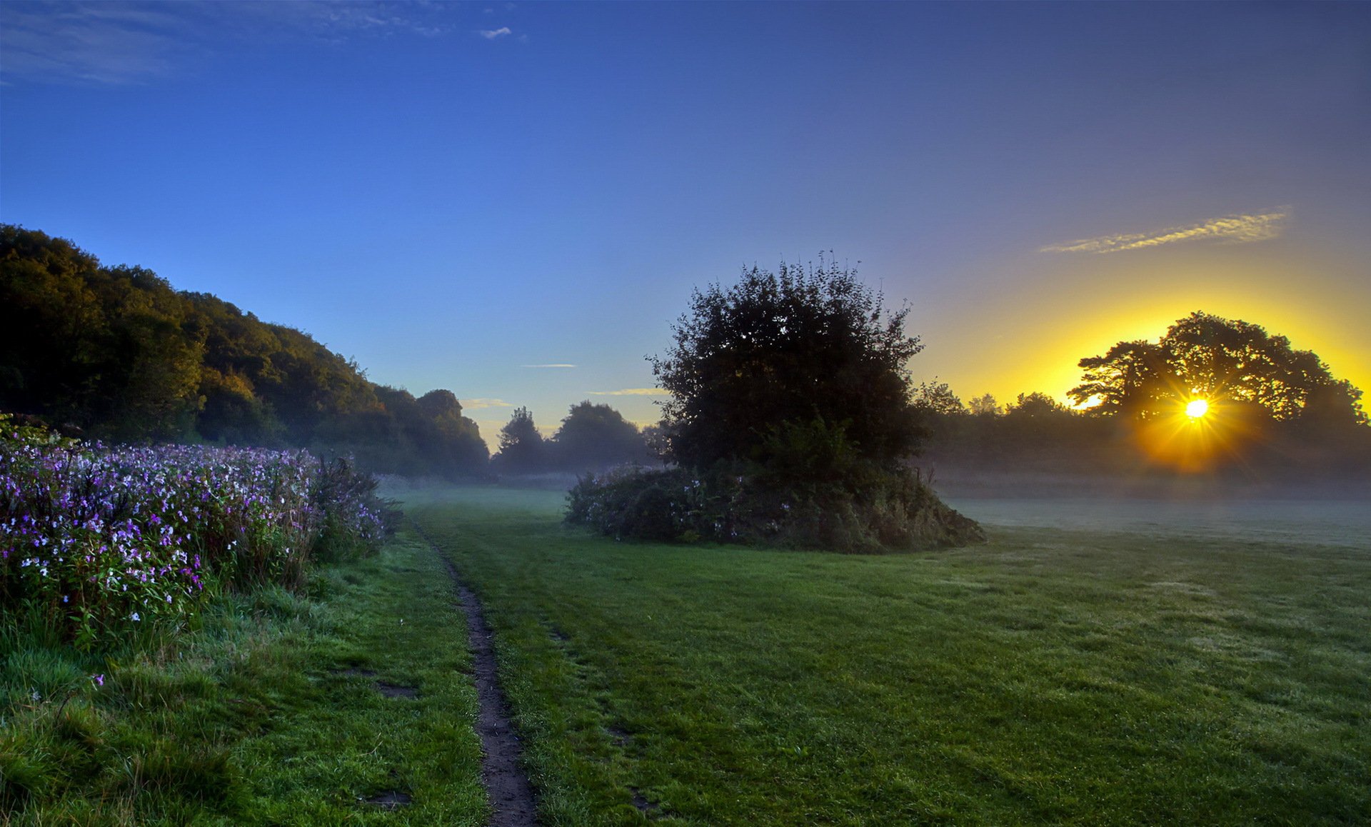 morgen nebel natur landschaft