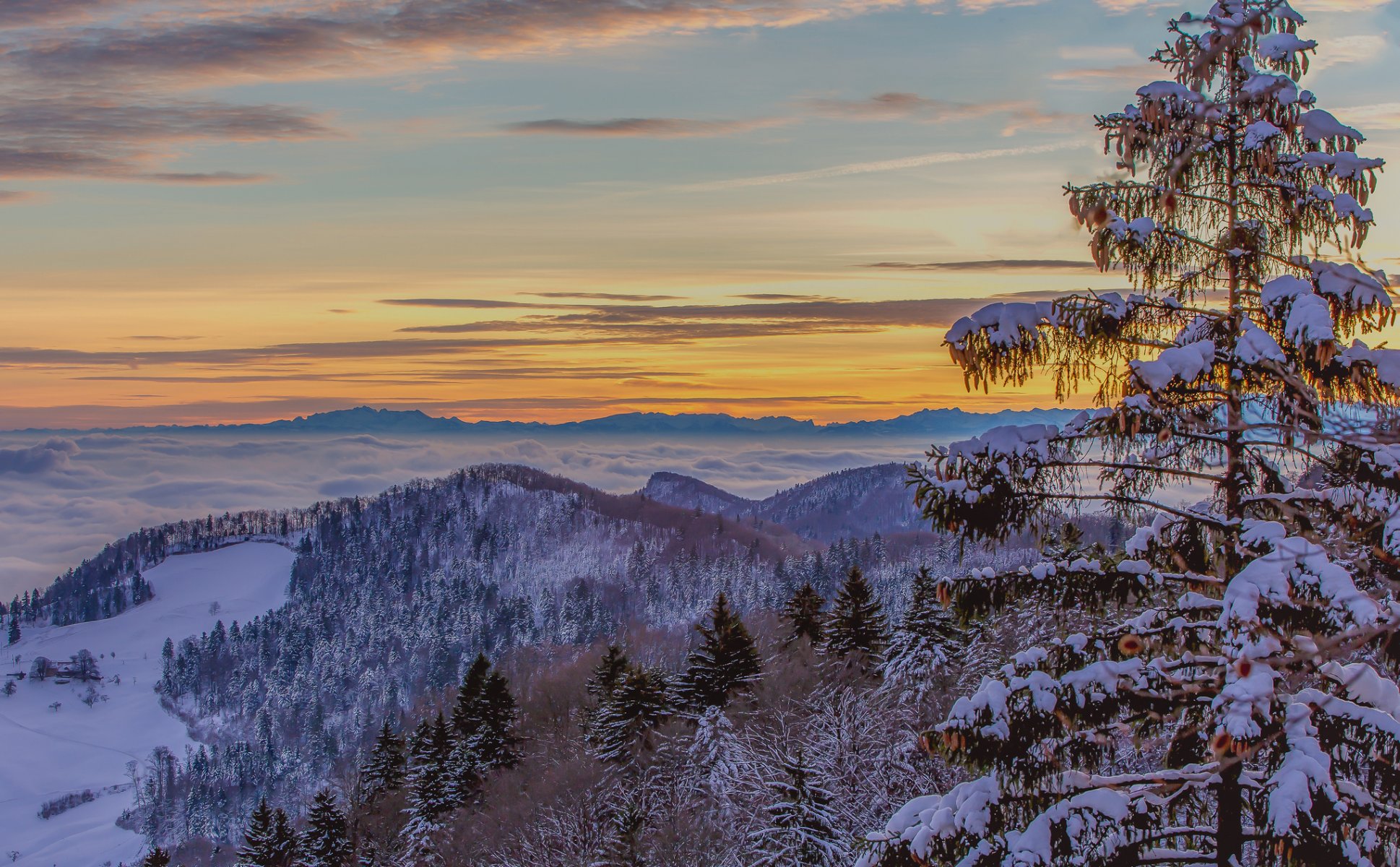 ciel lueur nuages brouillard hiver arbres montagnes neige sapin