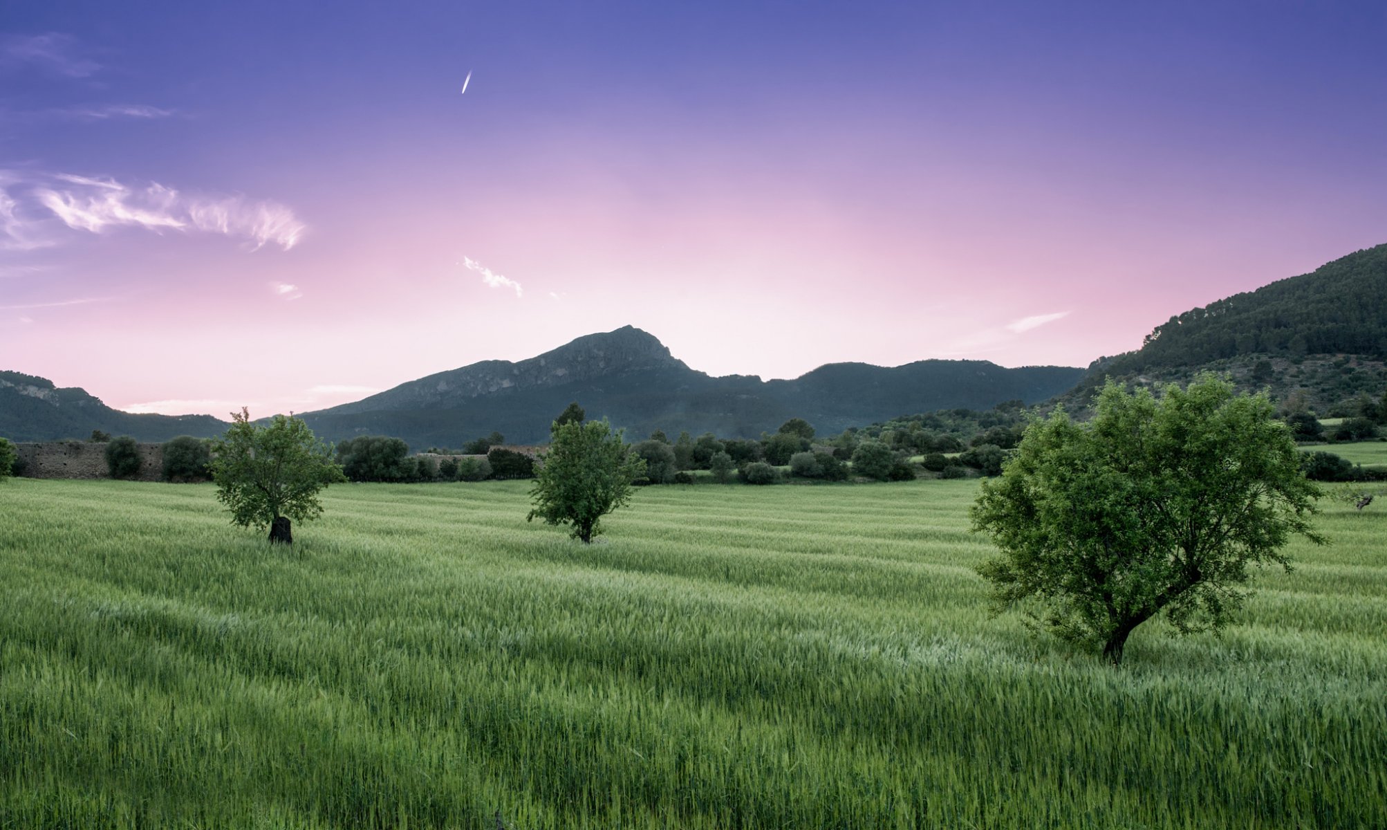 montañas árboles campo hierba rosa lila cielo nubes