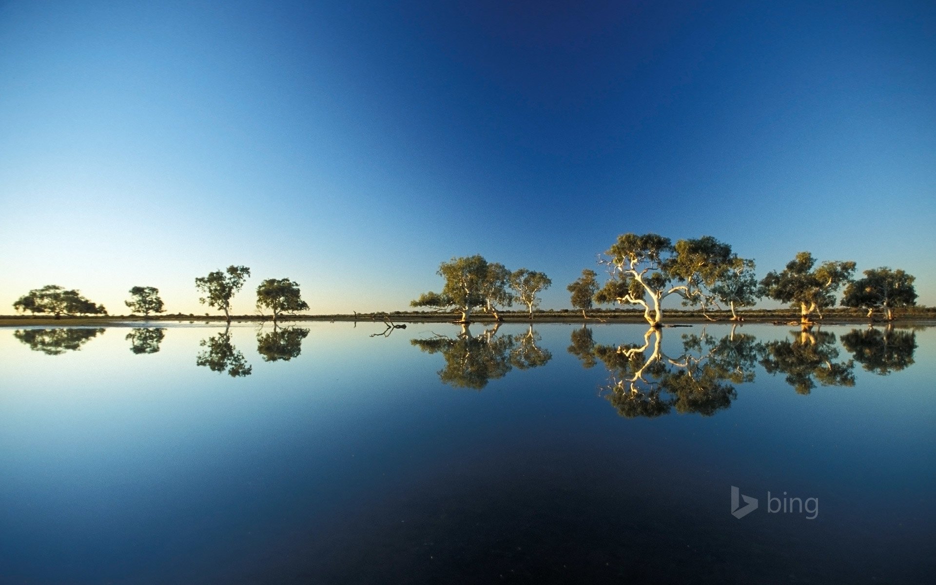 agua cielo árboles australia derrame reflexión