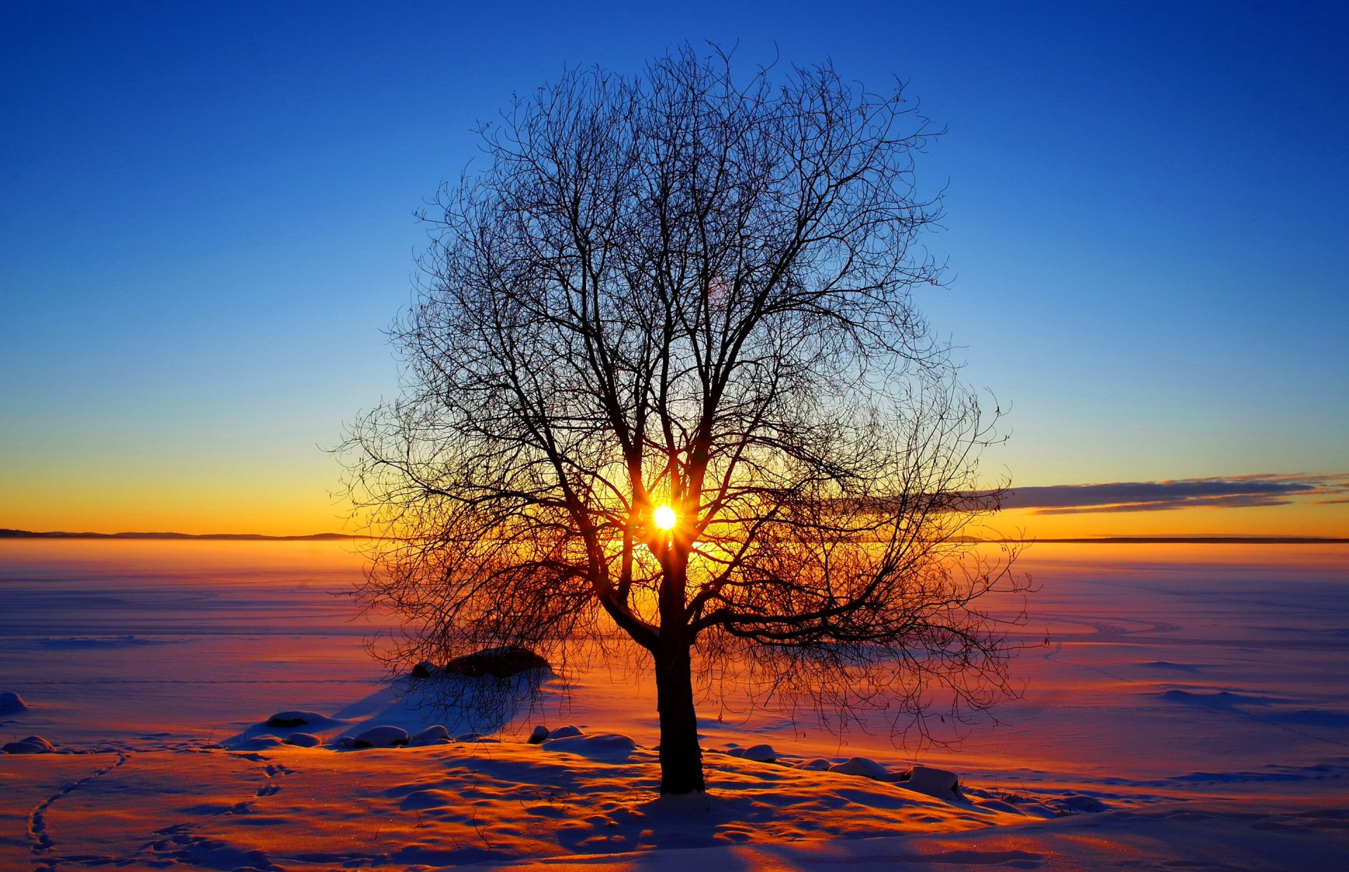 ky sun winter sunset tree snow