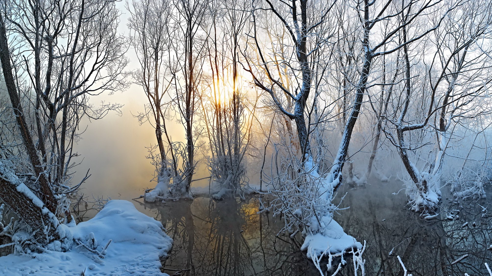 otoño lago nieve niebla