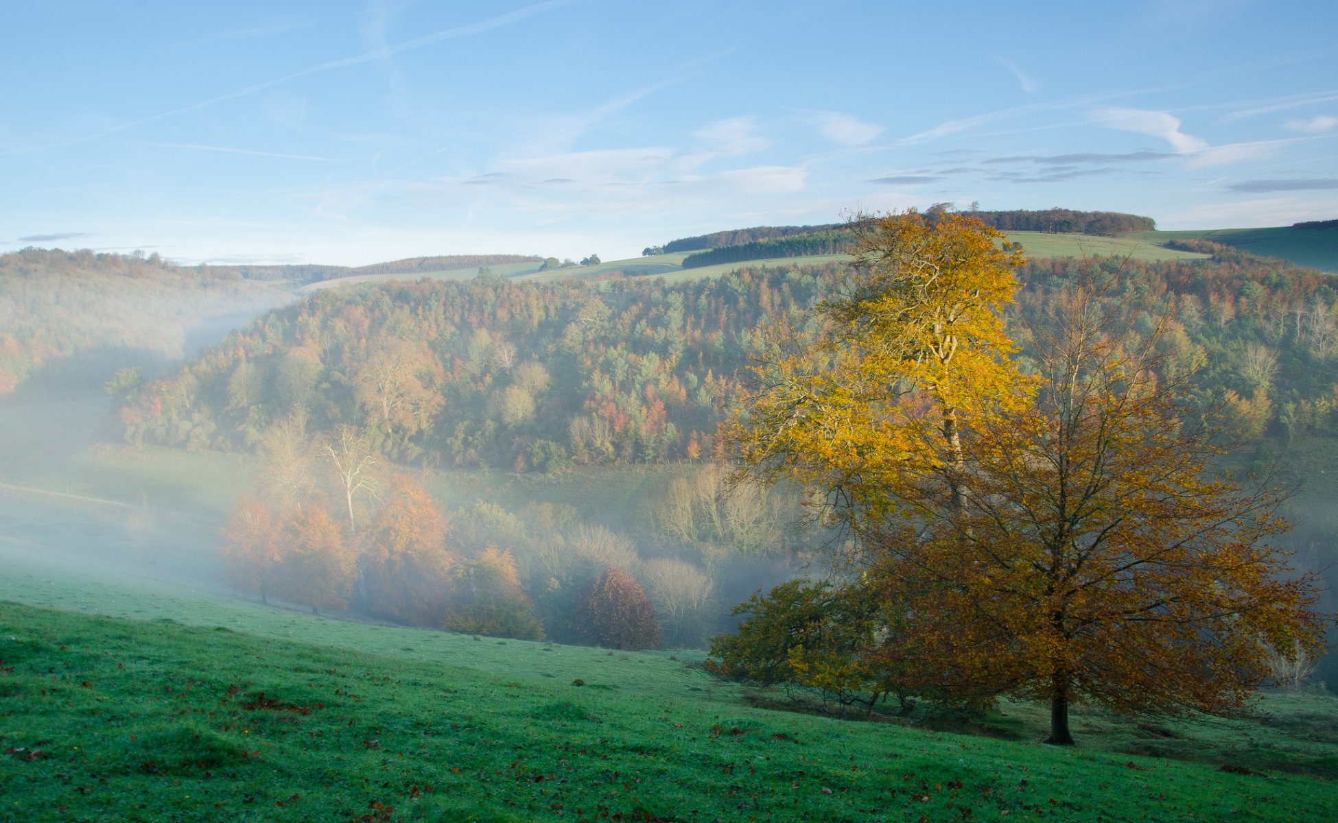 ciel matin brouillard montagnes forêt herbe pente automne