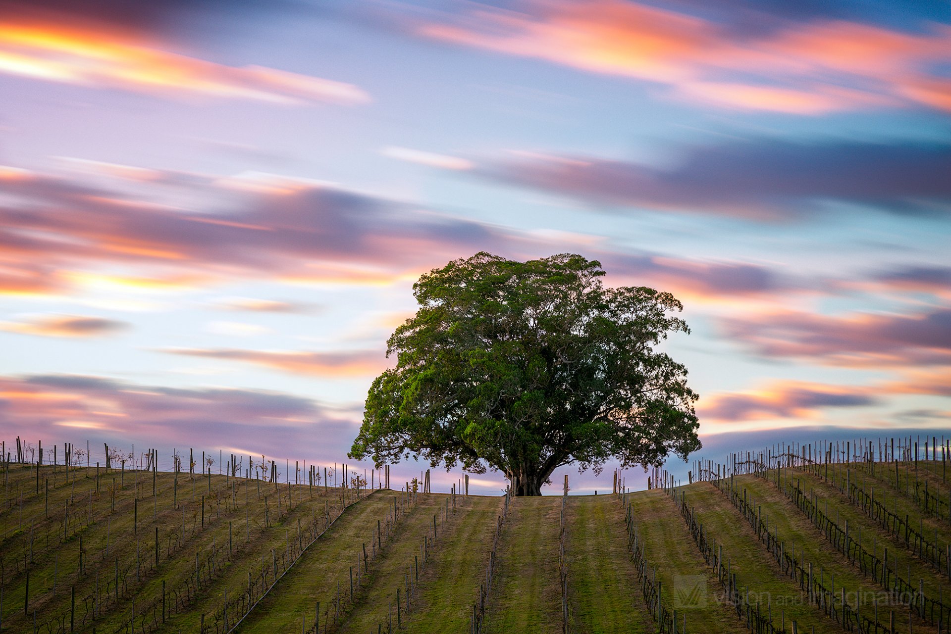 australie champ arbre ciel nuages exposition