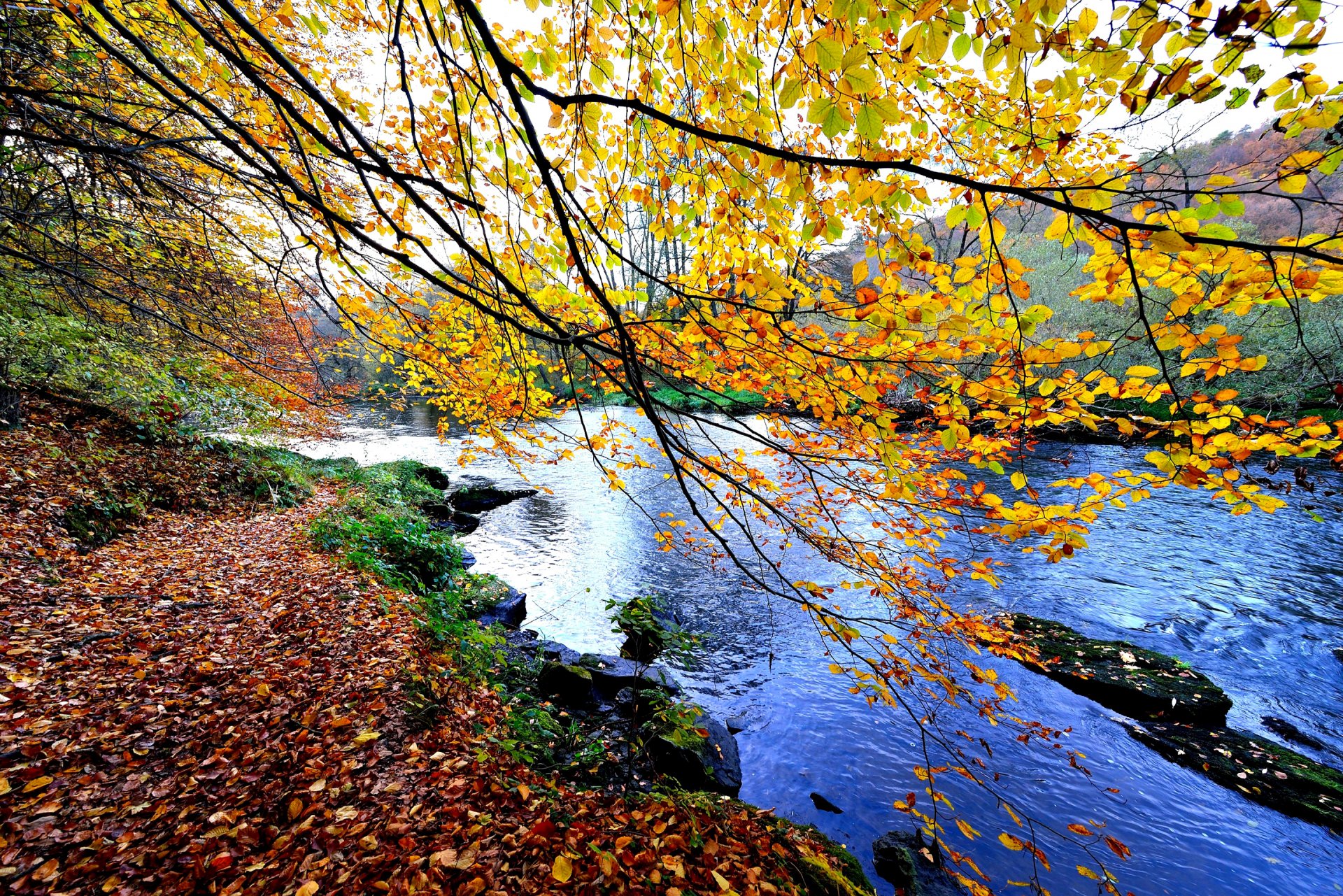 cielo montagne fiume pietre alberi autunno