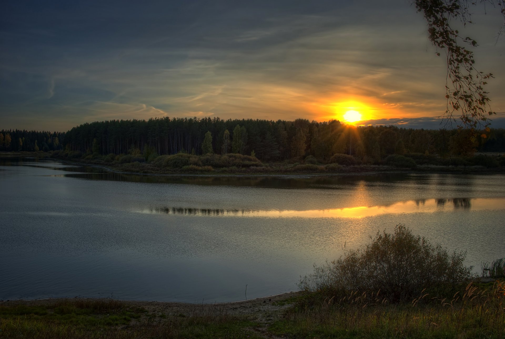 forest river evening. sun sunset autumn