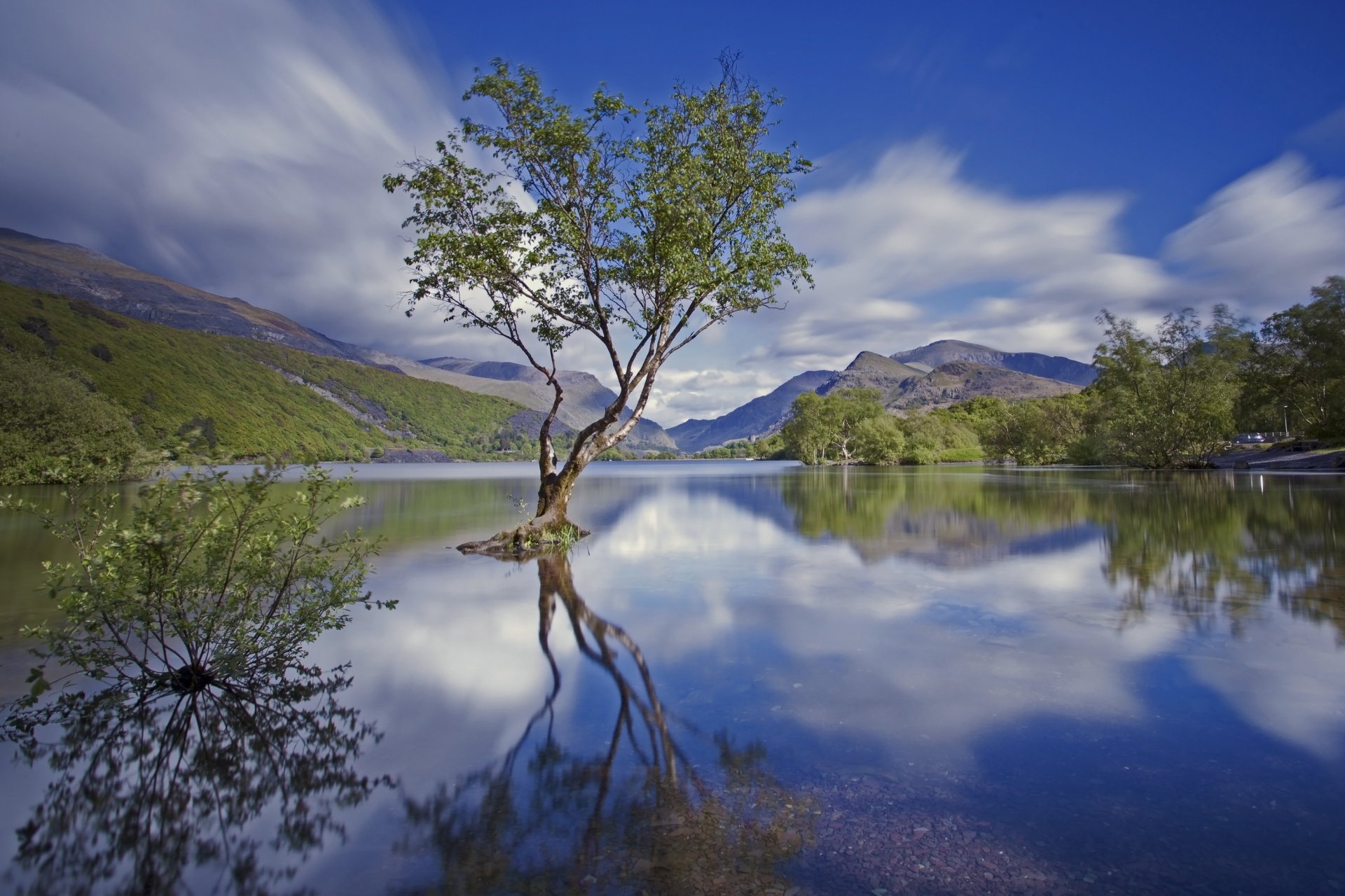 inghilterra galles del nord snowdonia parco nazionale montagne lago albero