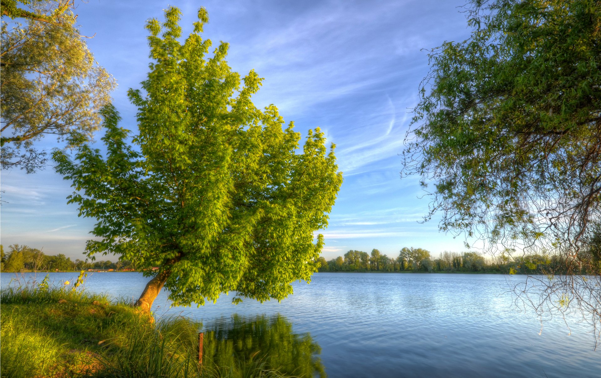 cielo nuvole fiume albero erba paesaggio