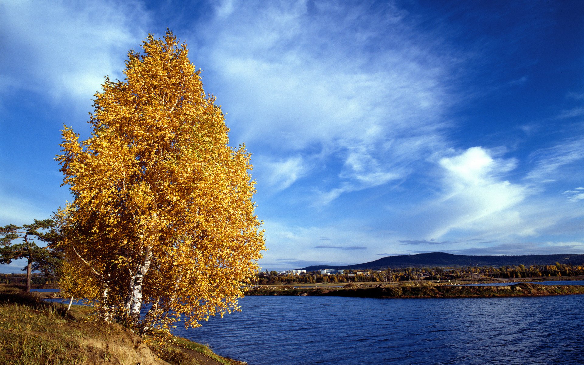 otoño árbol abedul montañas cielo nubes paisaje río orilla