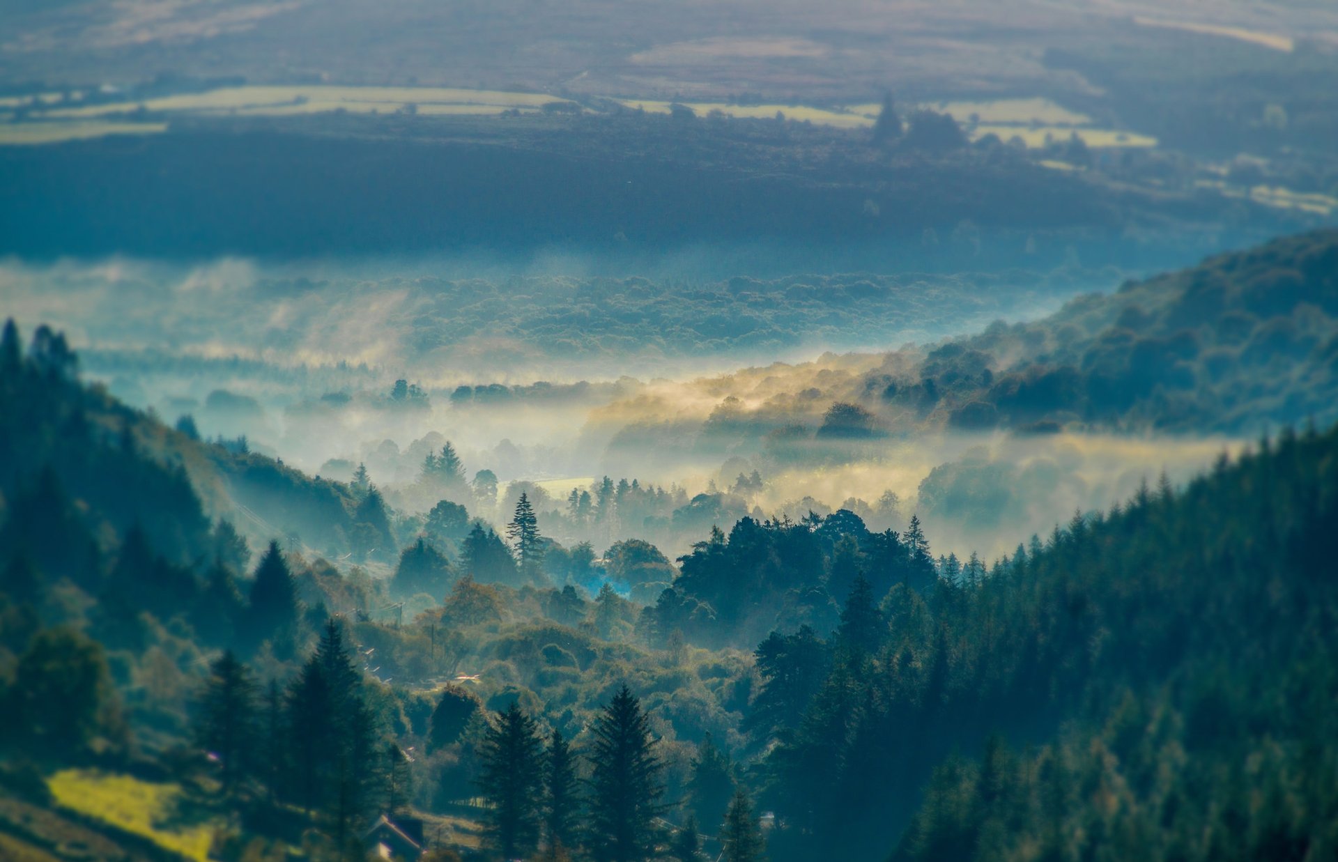 mountain hills tree fog haze