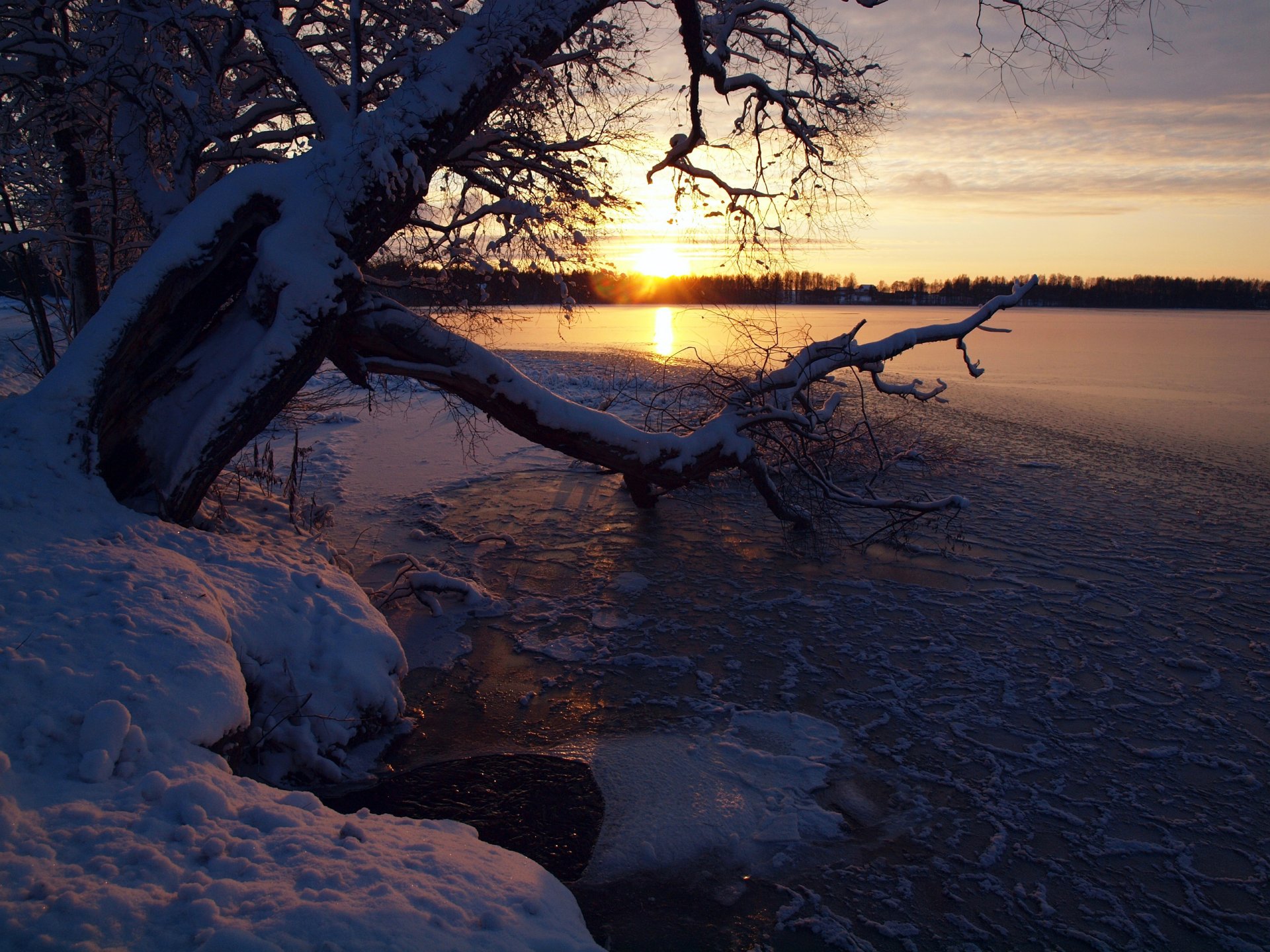 ciel coucher de soleil hiver rivière neige arbre