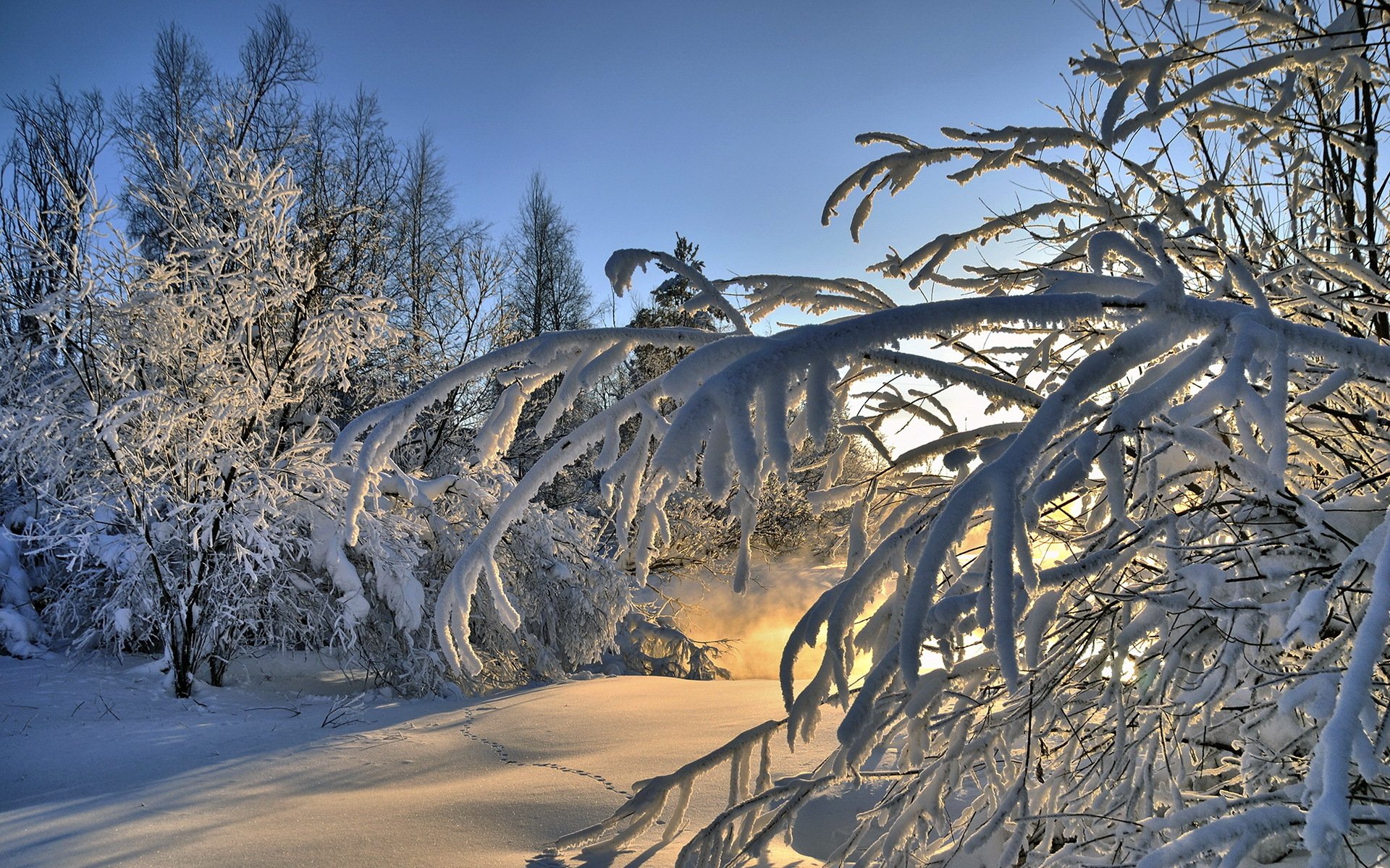 invierno nieve paisaje bosque