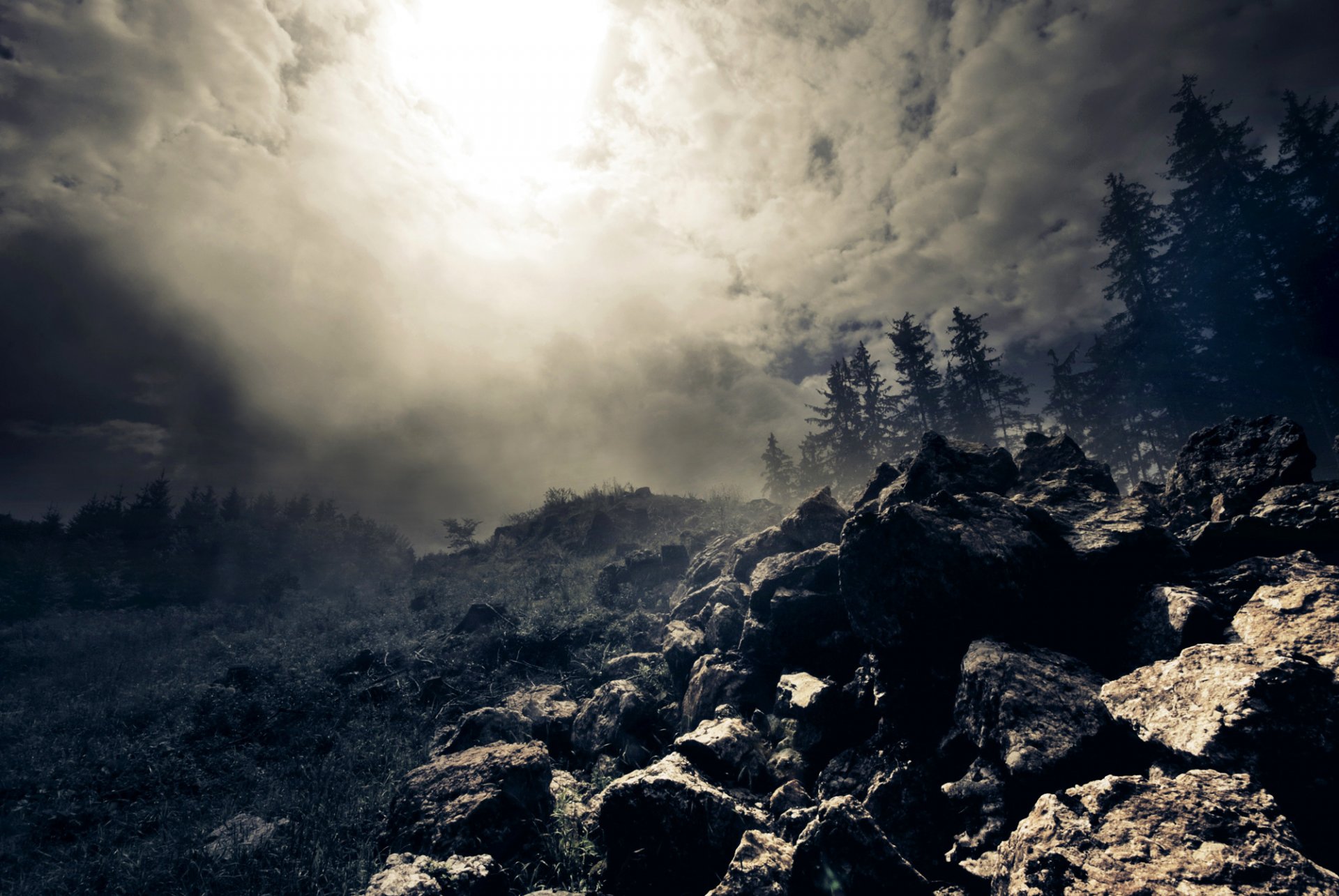 tones forest clouds fog