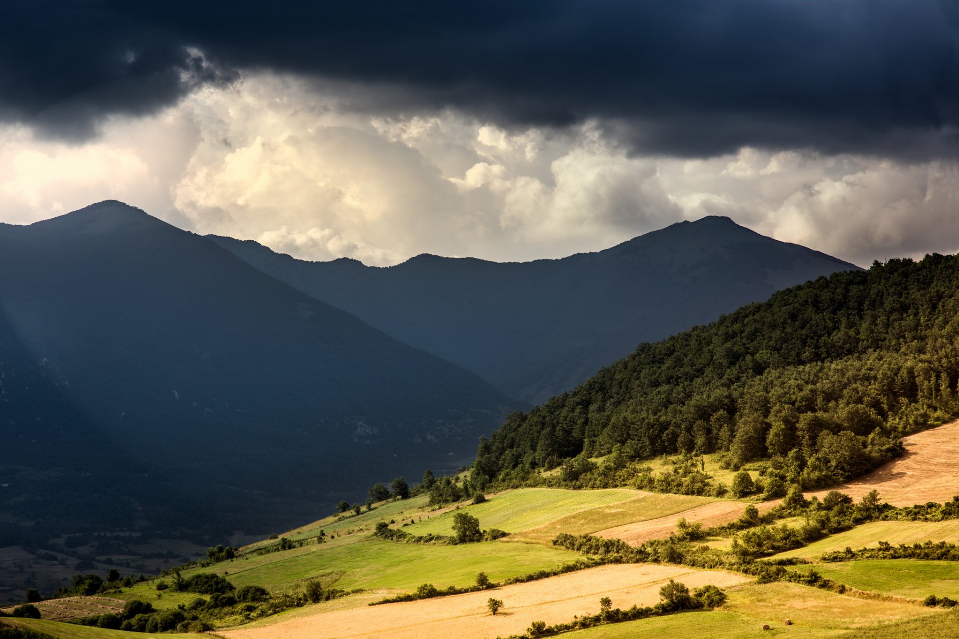 montagne valle foresta nuvole