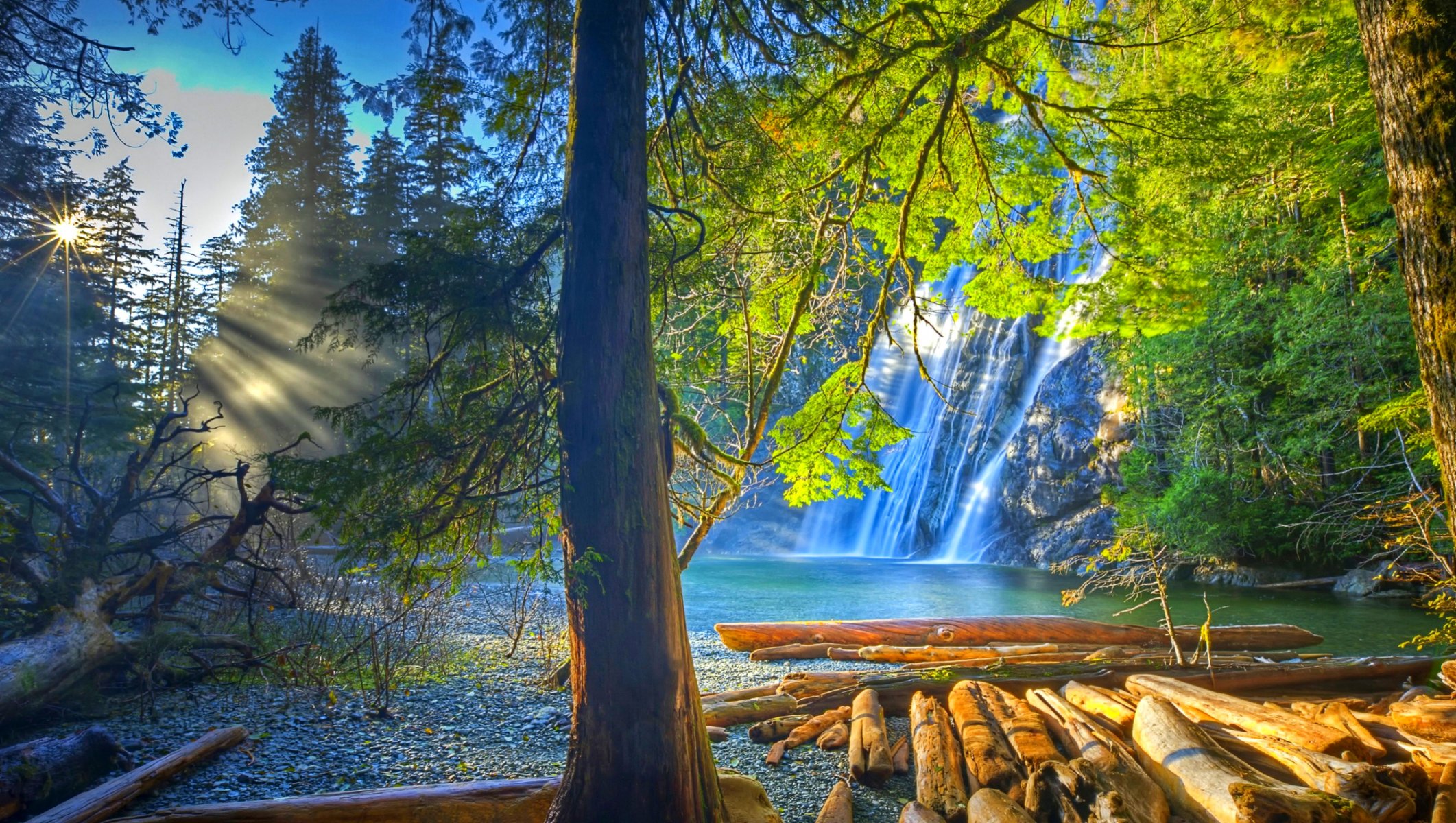 états-unis vierge falls tennessee falaise cascade forêt arbres bûches rayons du soleil