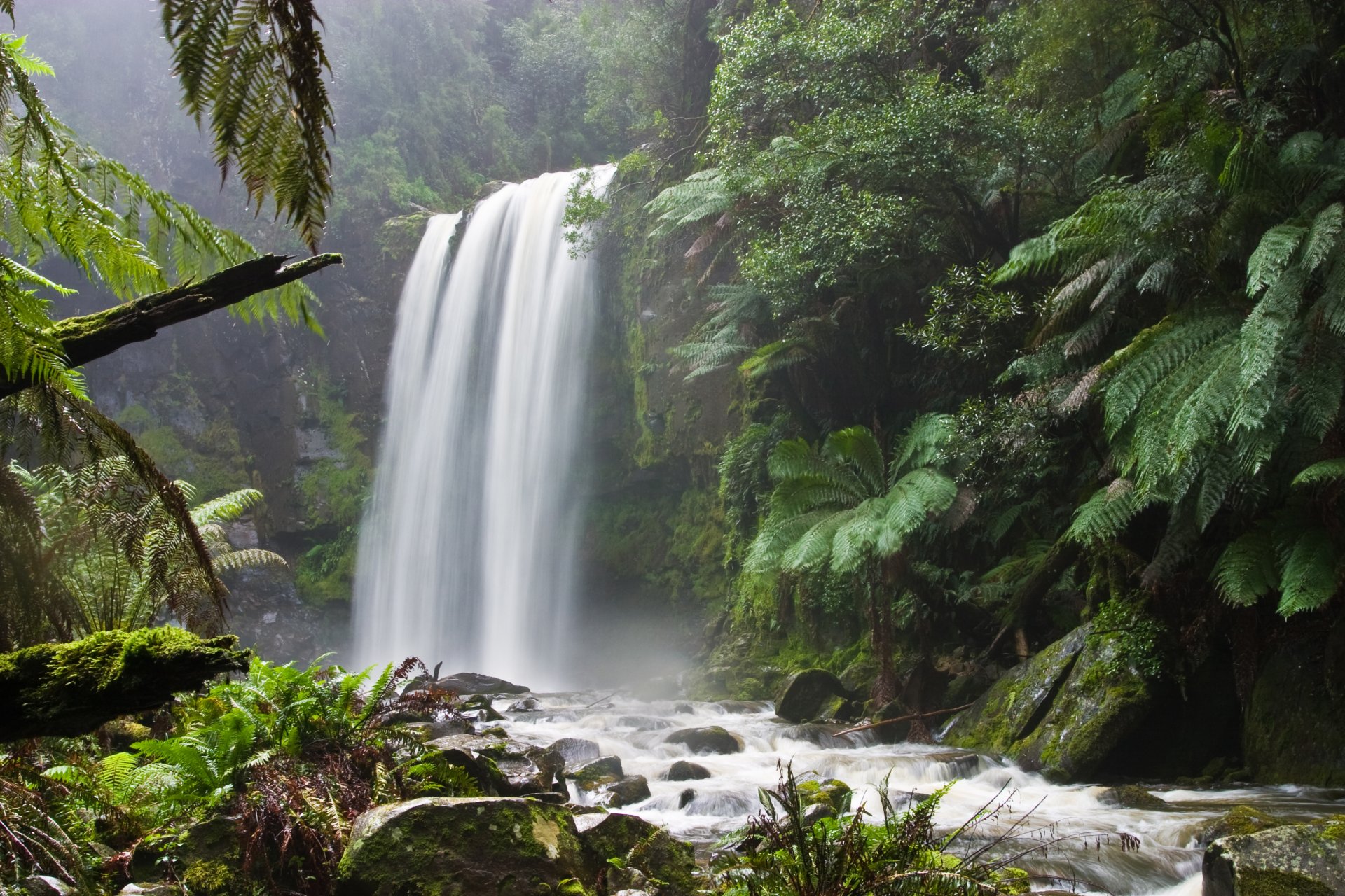 río de montaña bosque cascada naturaleza