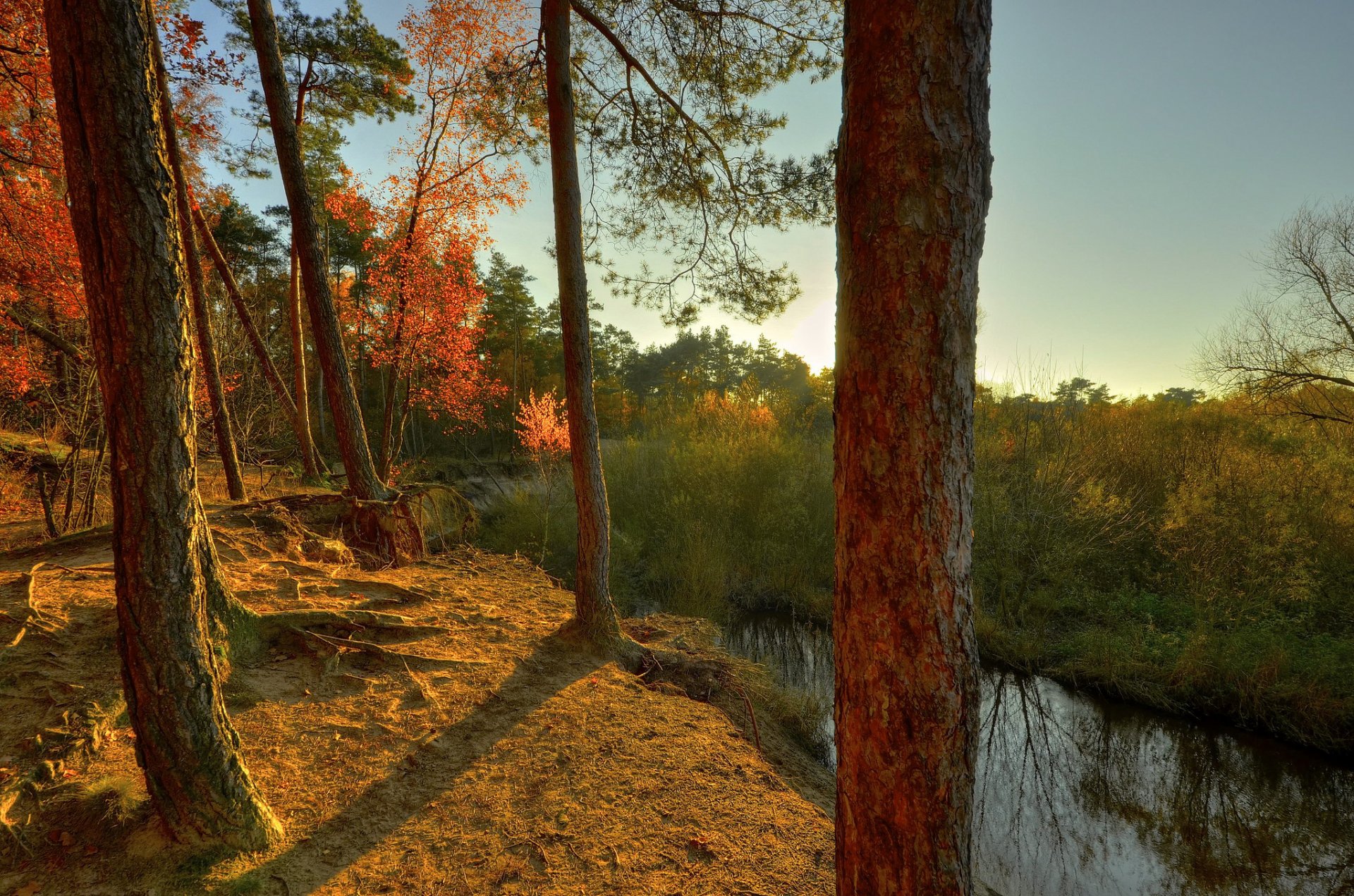 ciel forêt falaise coucher de soleil rivière ruisseau arbres automne