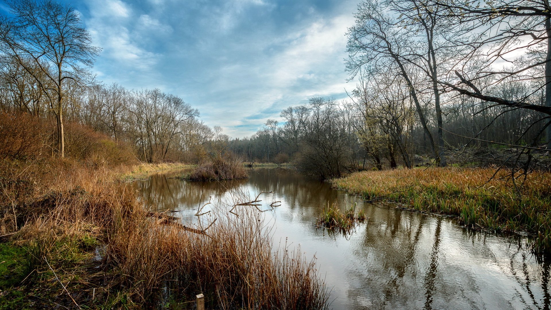 rivière printemps nature