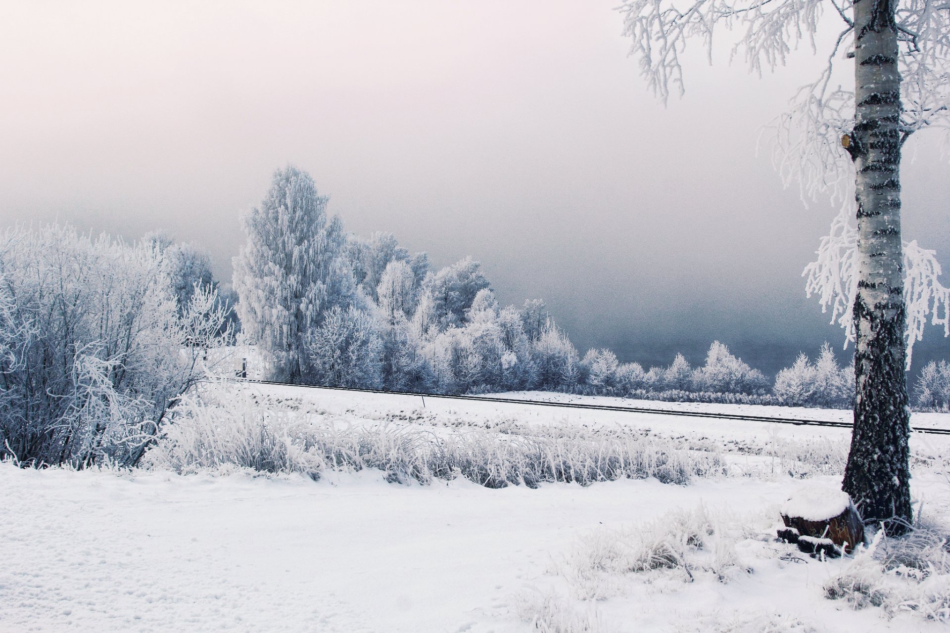 suède hiver neige arbres givre chemin de fer