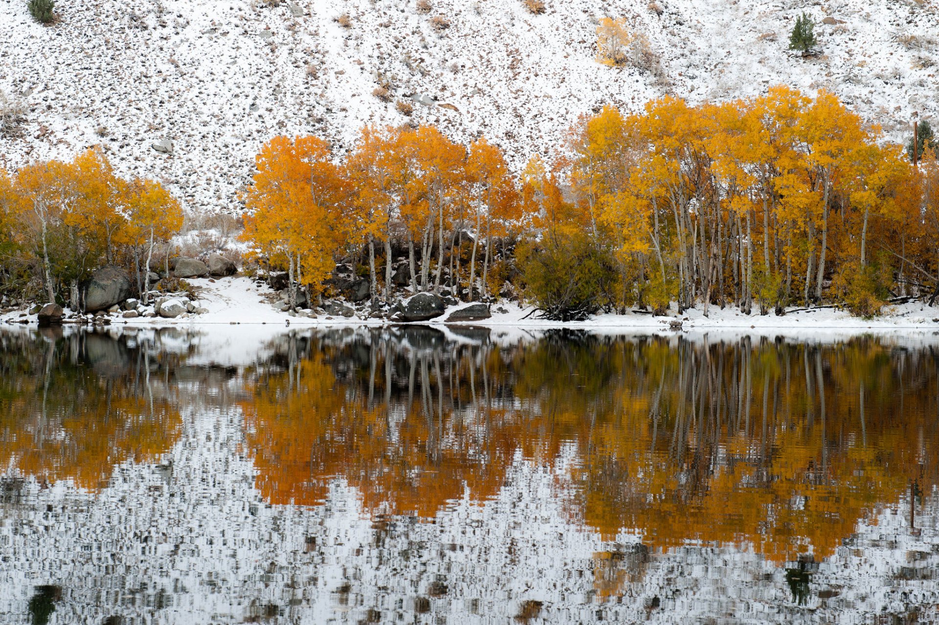 hang schnee herbst see reflexion bäume