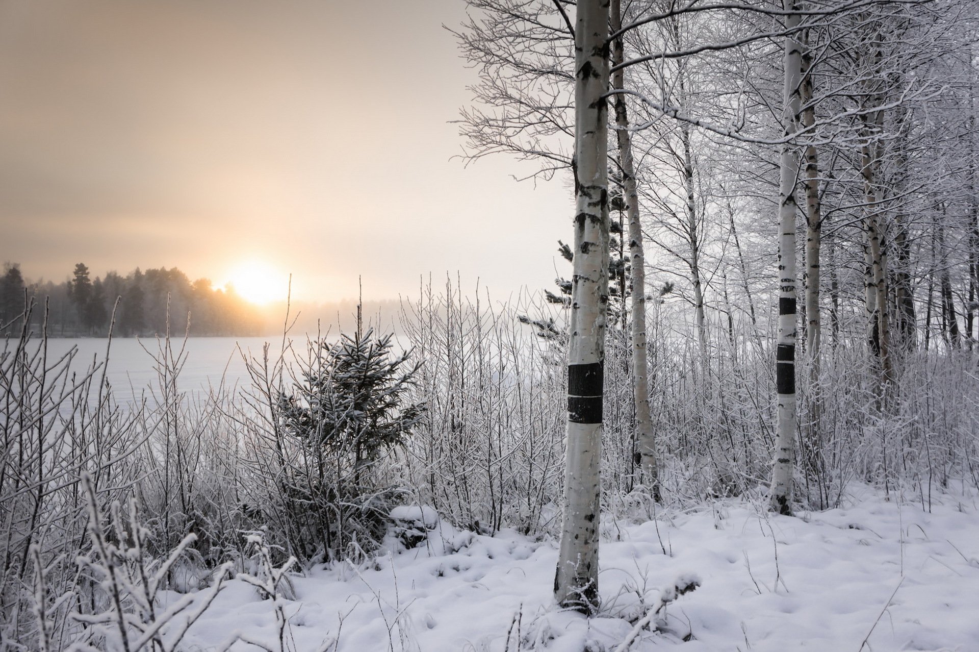 mattina inverno