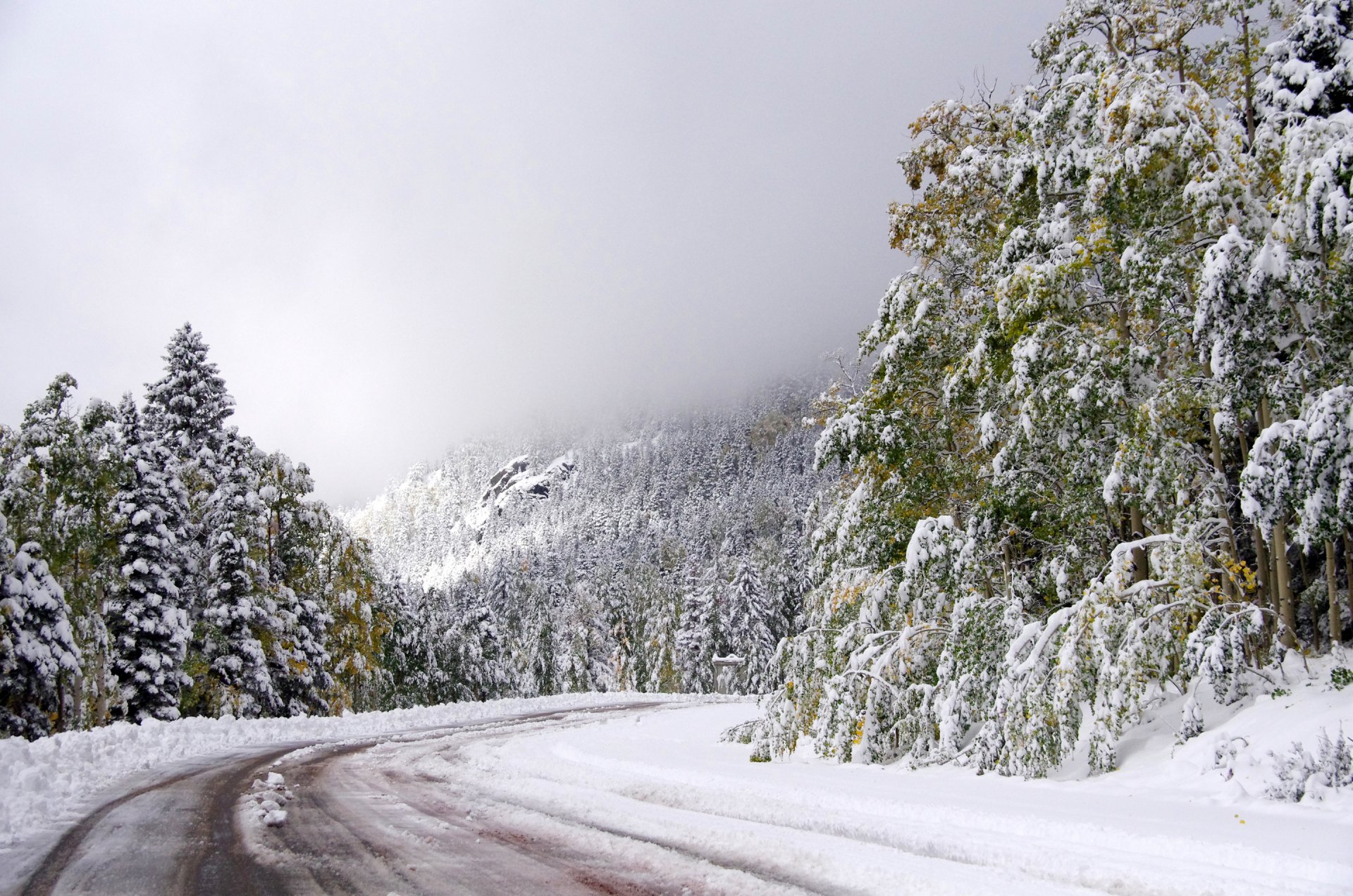 himmel straße winter schnee bäume drehen